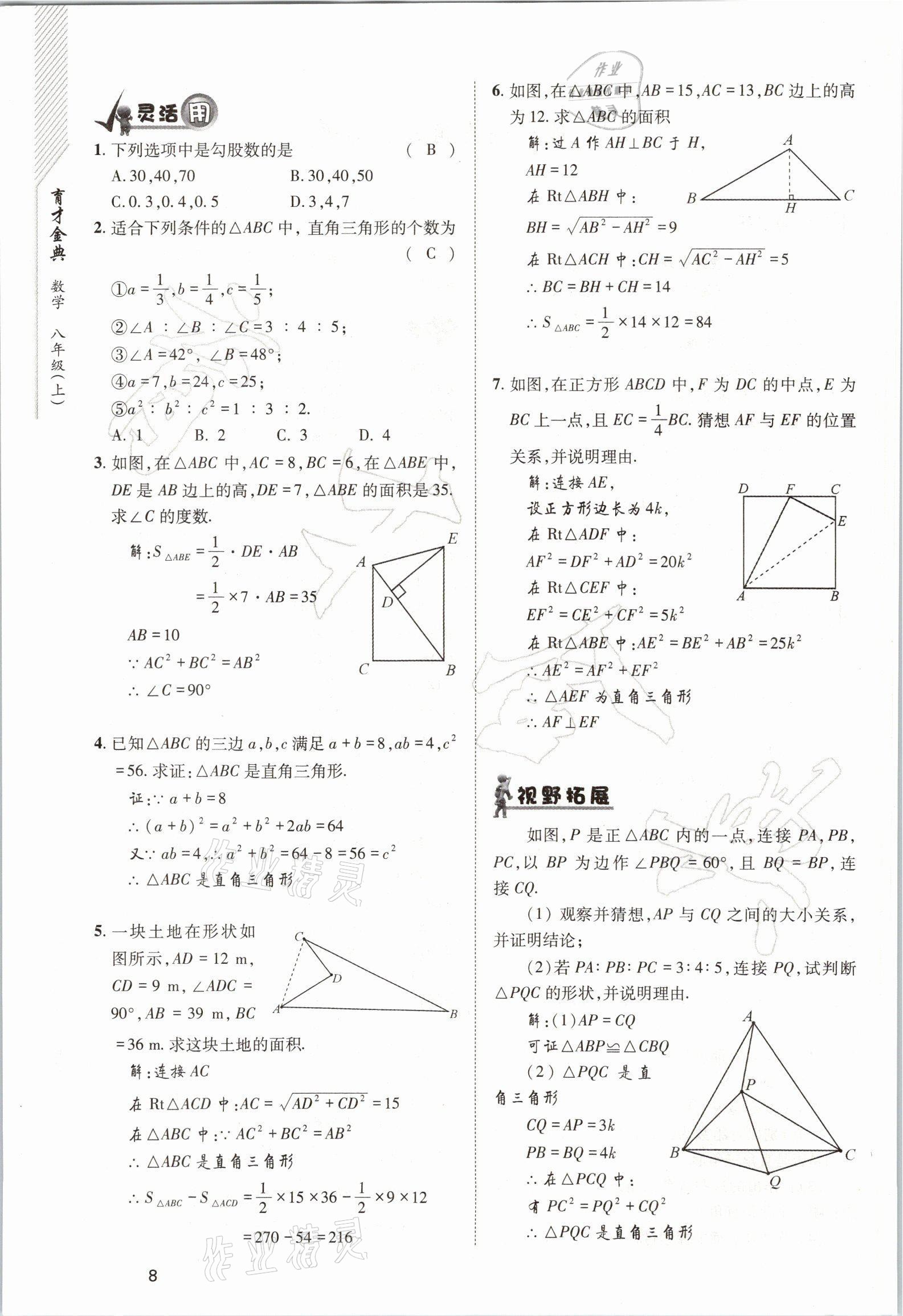 2021年育才金典八年级数学上册北师大版 参考答案第8页