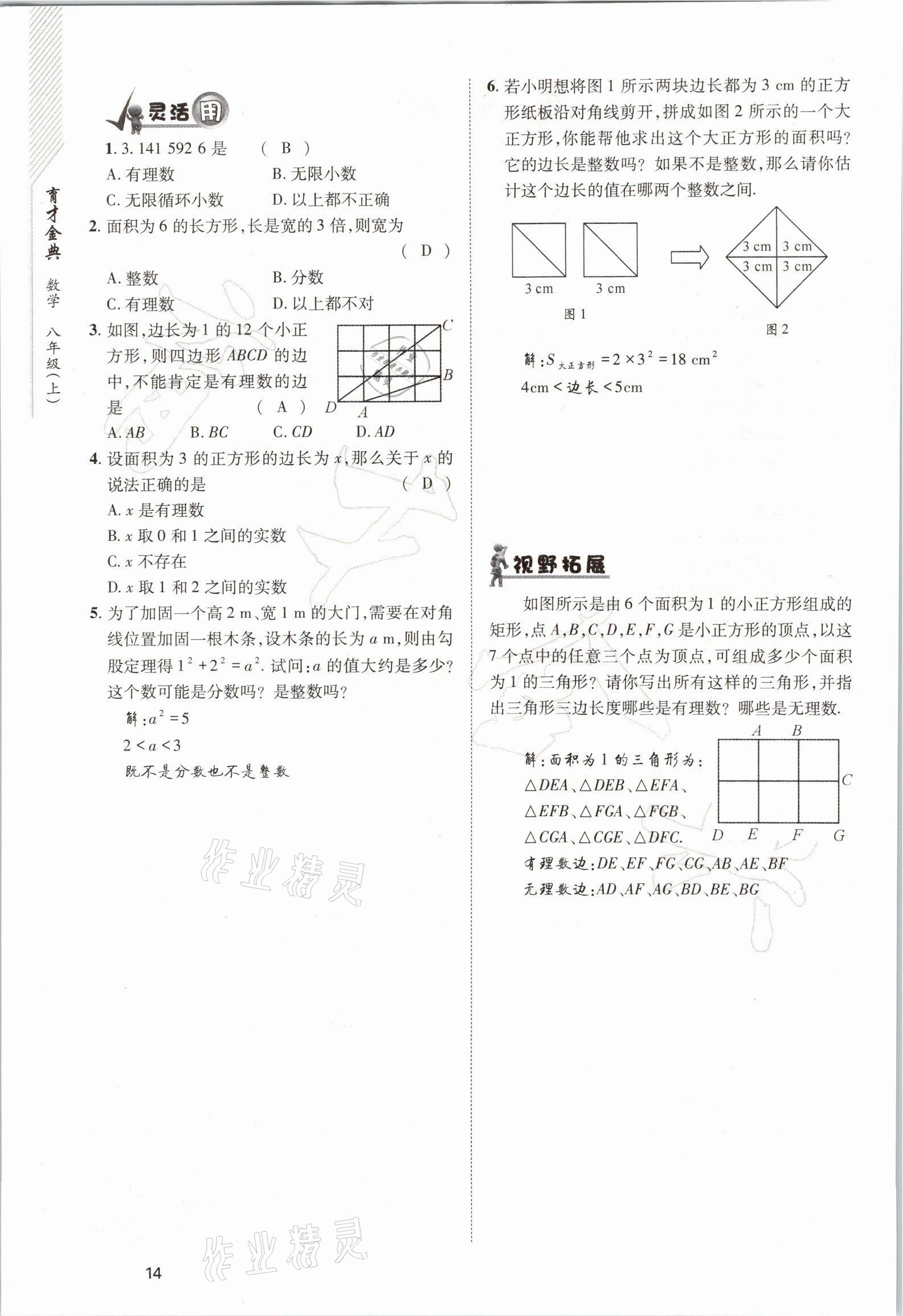 2021年育才金典八年级数学上册北师大版 参考答案第14页