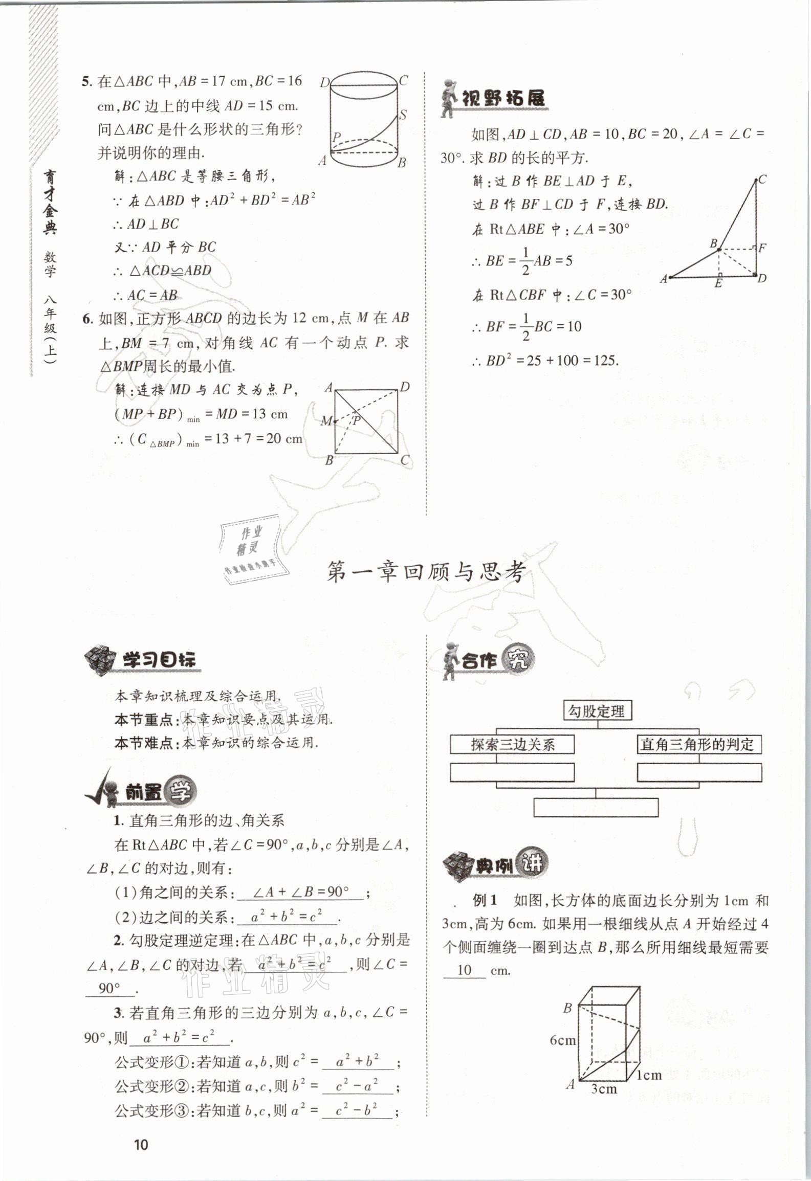 2021年育才金典八年级数学上册北师大版 参考答案第10页