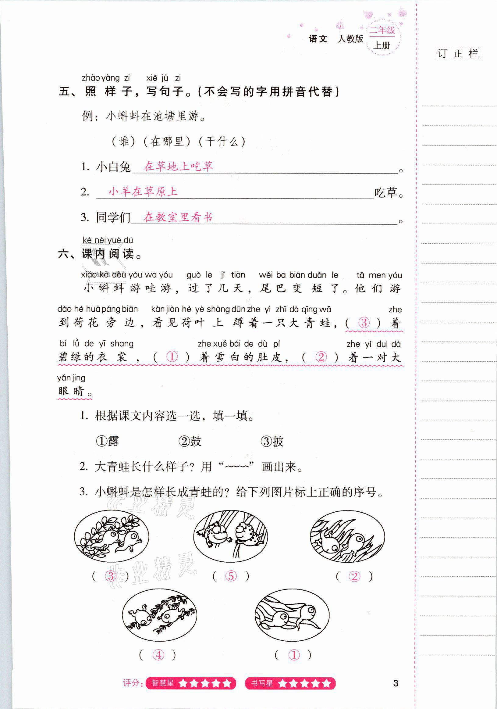 2021年云南省标准教辅同步指导训练与检测二年级语文上册人教版 参考答案第2页