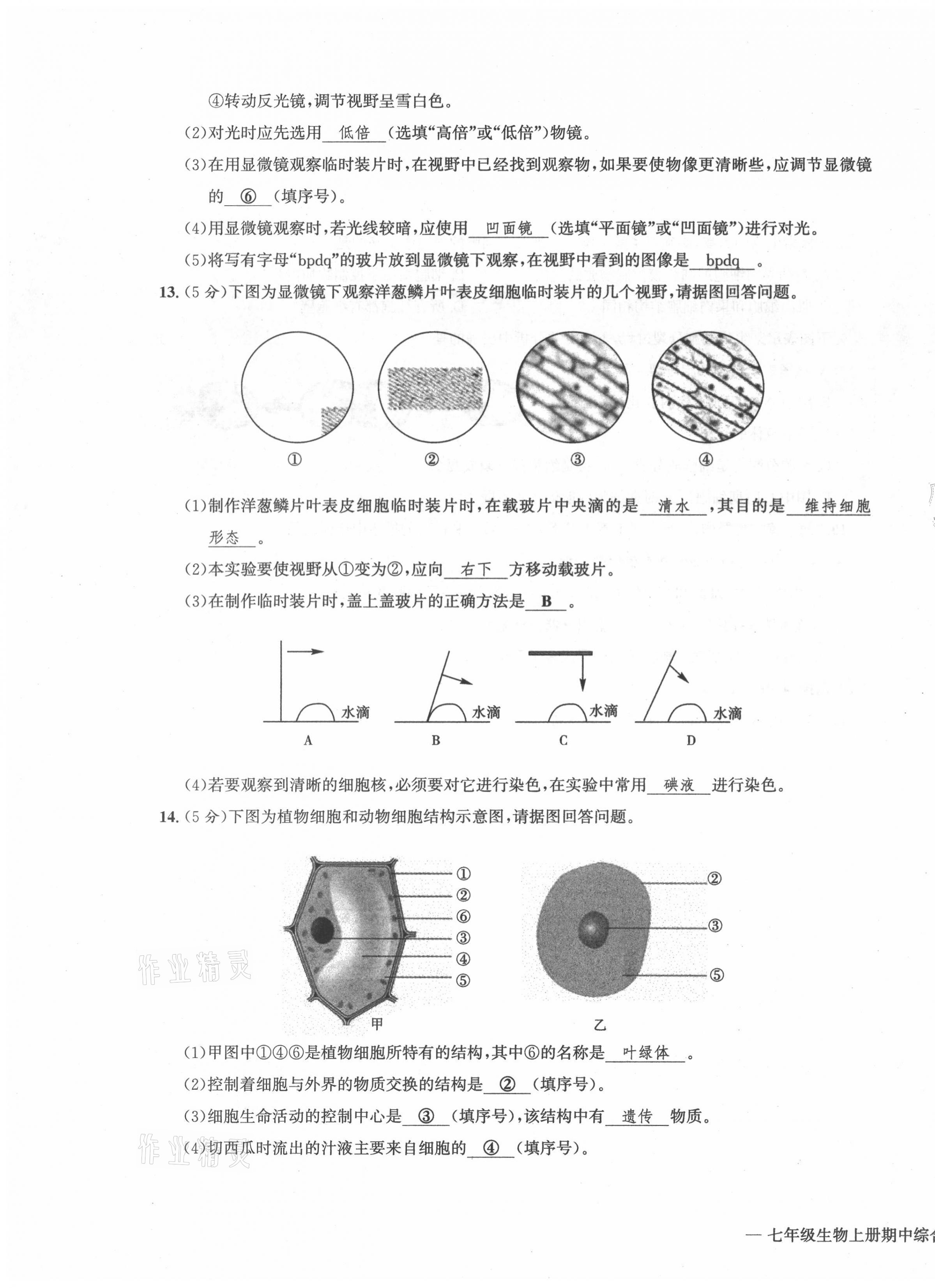 2021年学业评价测评卷七年级生物上册人教版 第11页