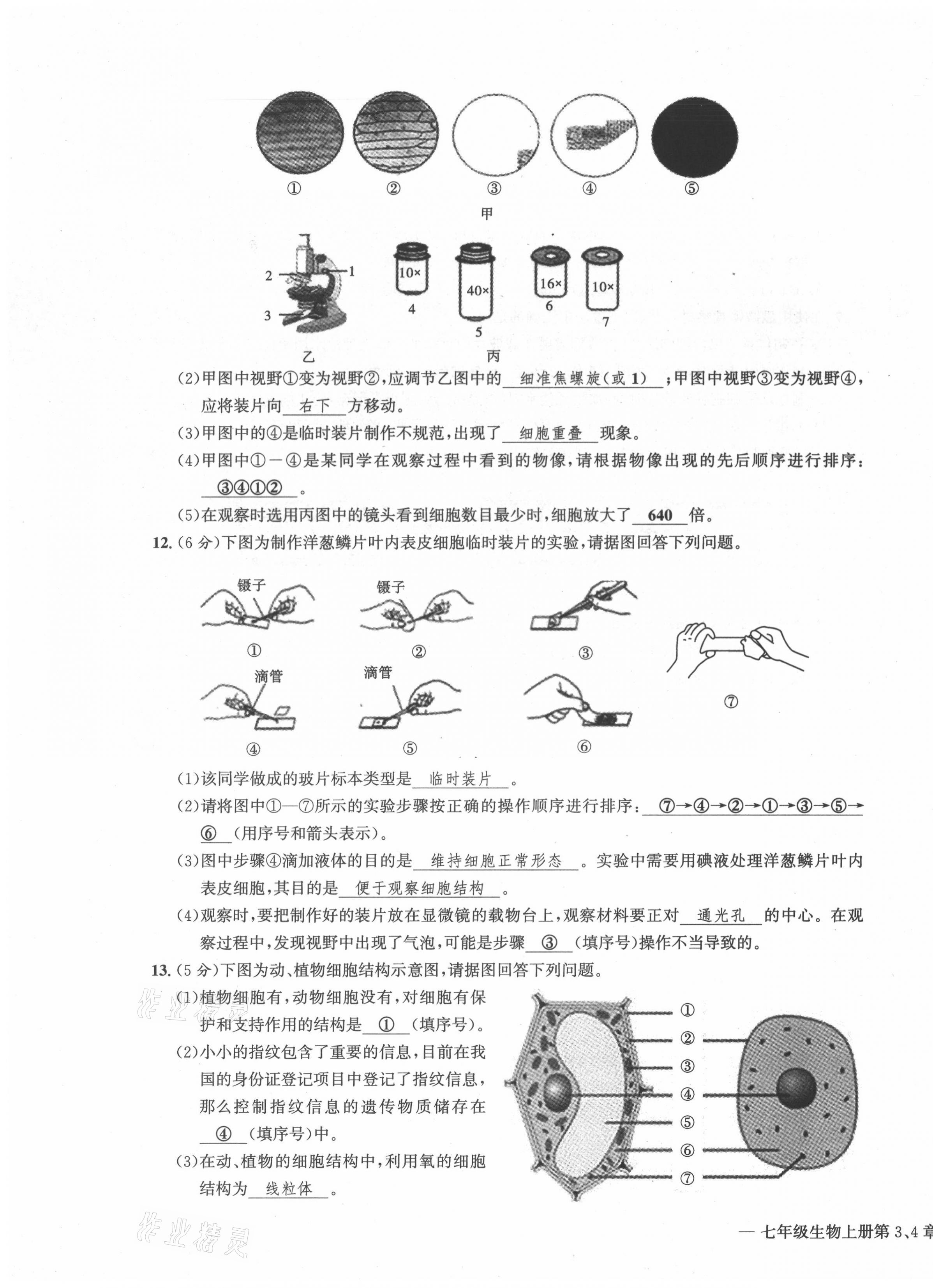 2021年學(xué)業(yè)評價測評卷七年級生物上冊人教版 第7頁