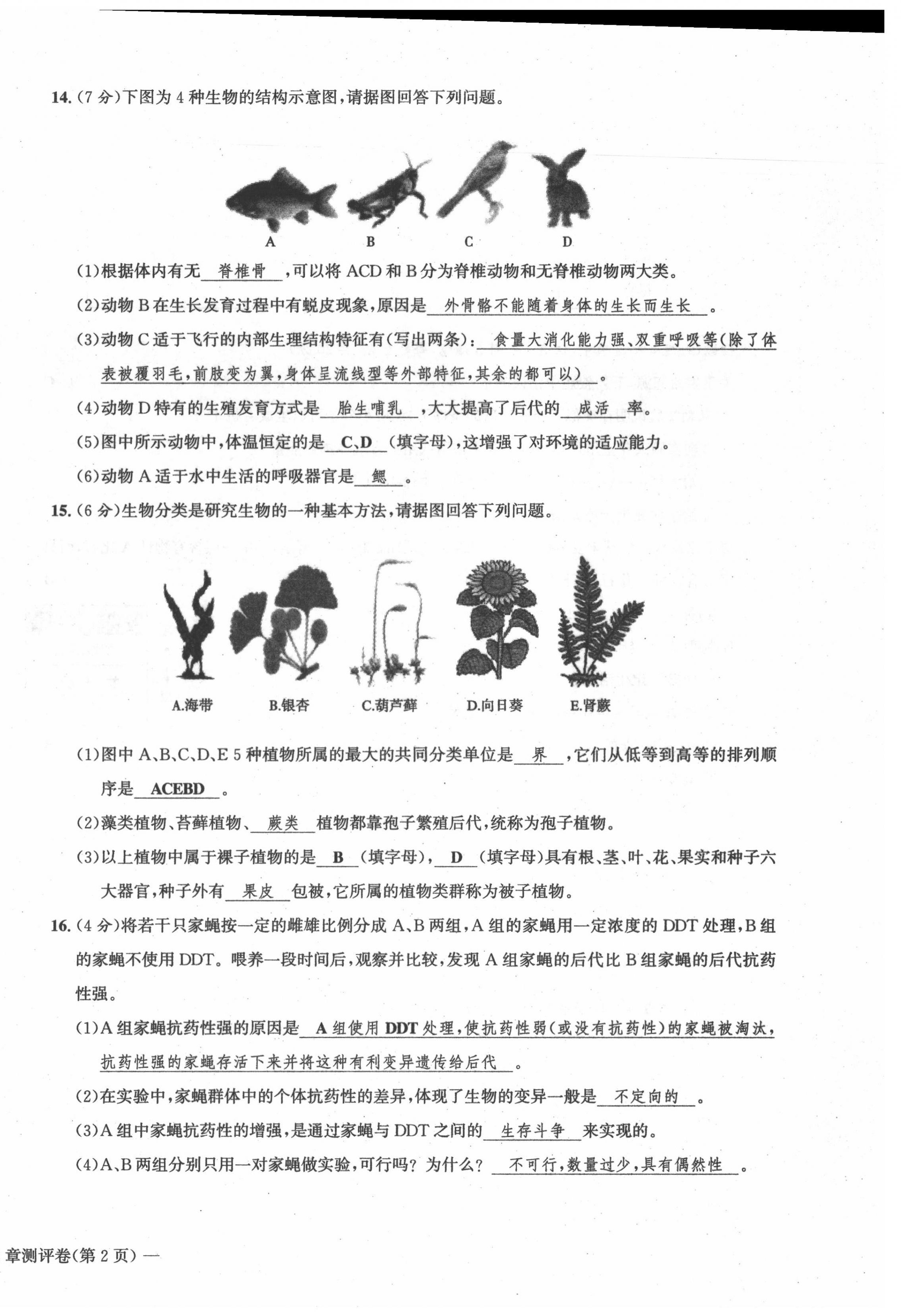 2021年學(xué)業(yè)評(píng)價(jià)測(cè)評(píng)卷八年級(jí)生物全一冊(cè)人教版 第28頁(yè)