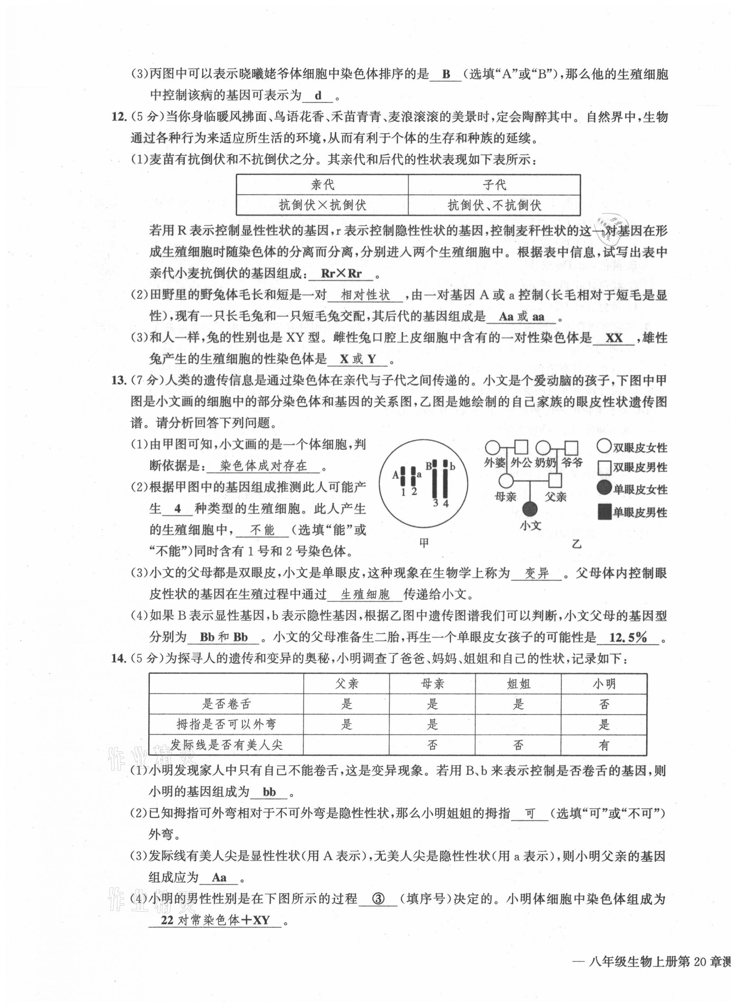 2021年學業(yè)評價測評卷八年級生物全一冊人教版 第19頁