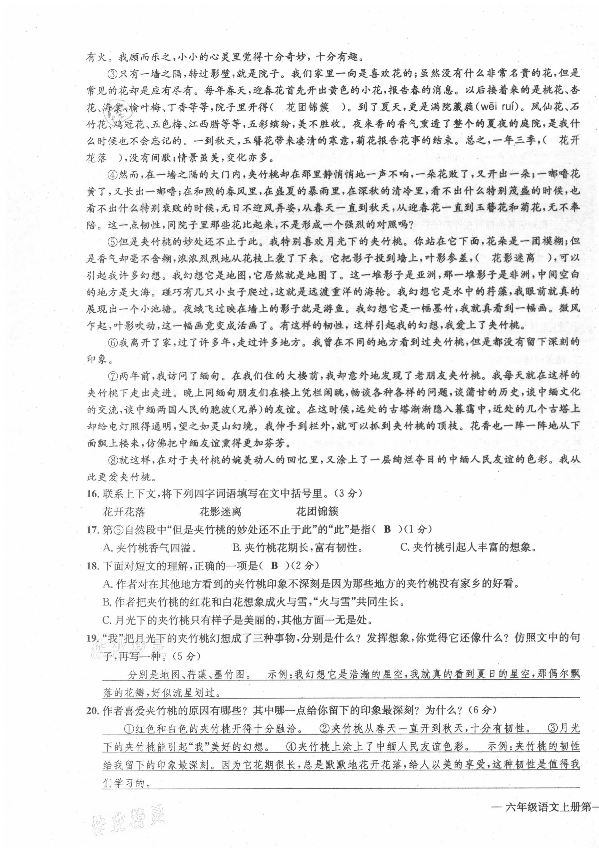 2021年学业评价测评卷六年级语文上册人教版 第3页