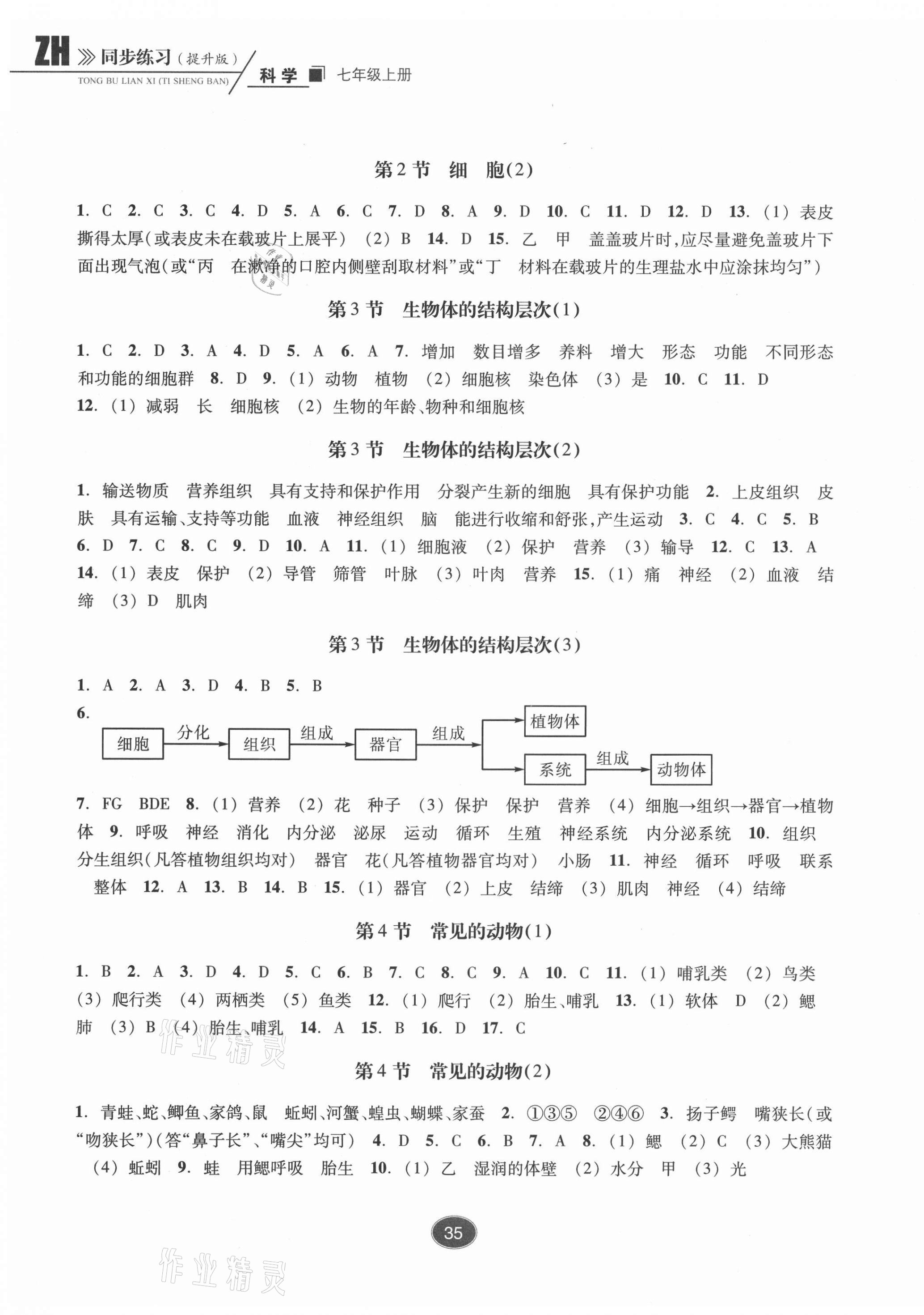 2021年同步练习浙江教育出版社七年级科学上册浙教版提升版 第3页