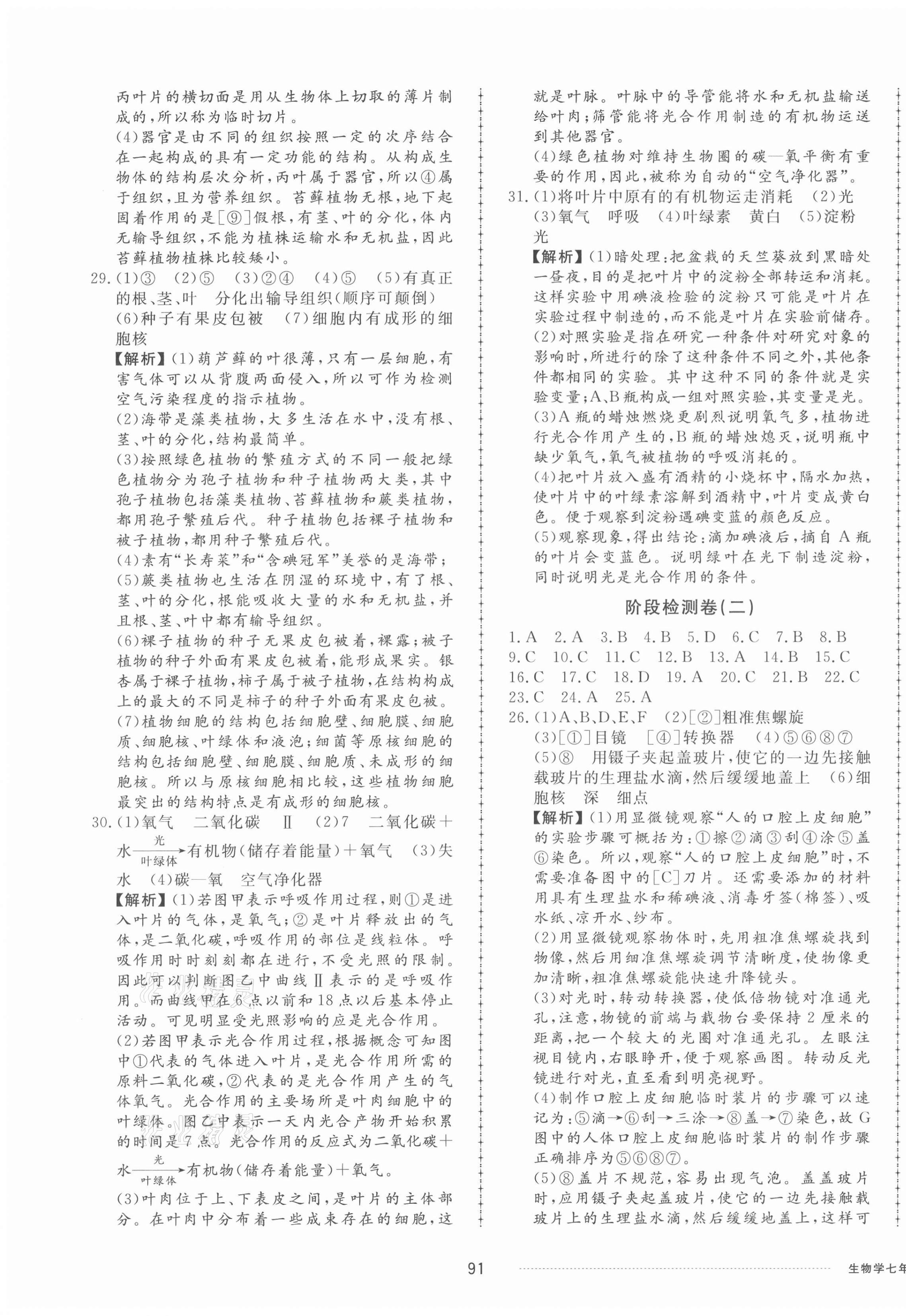 2021年同步練習(xí)冊(cè)配套單元檢測(cè)卷七年級(jí)生物上冊(cè)濟(jì)南版 第3頁