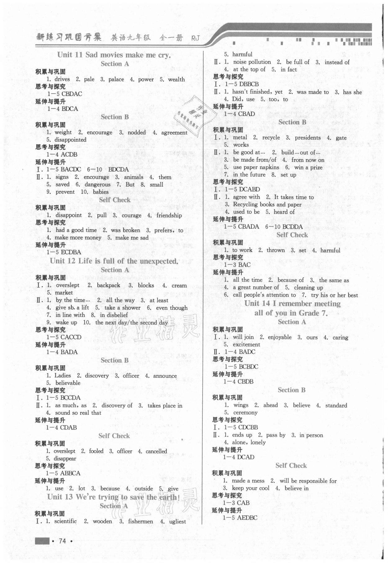 2021年新練習(xí)鞏固方案九年級(jí)英語全一冊(cè)人教版 第4頁