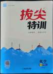 2021年拔尖特訓(xùn)九年級化學(xué)上冊滬教版