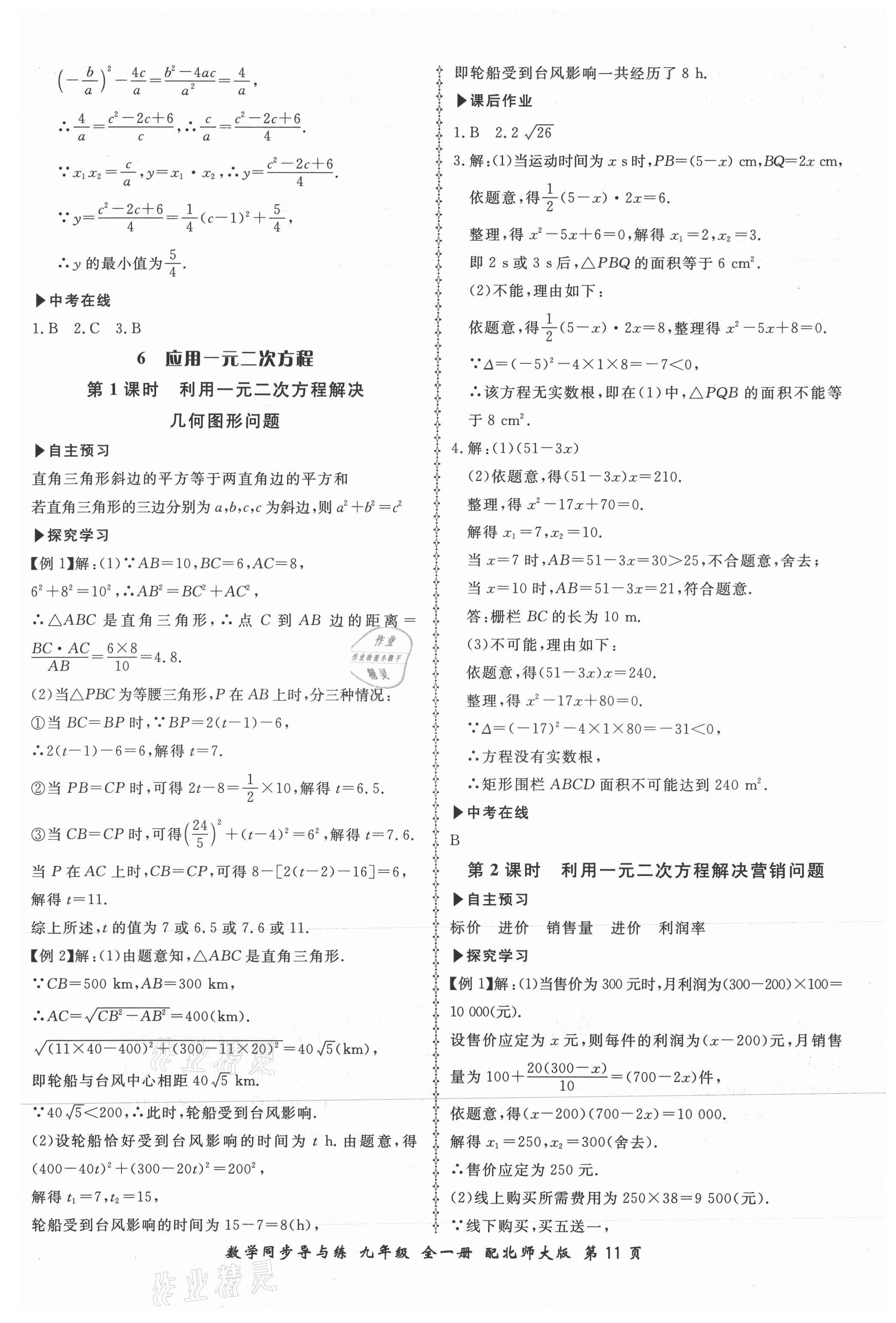 2021年新学案同步导与练九年级数学全一册北师大版 第11页