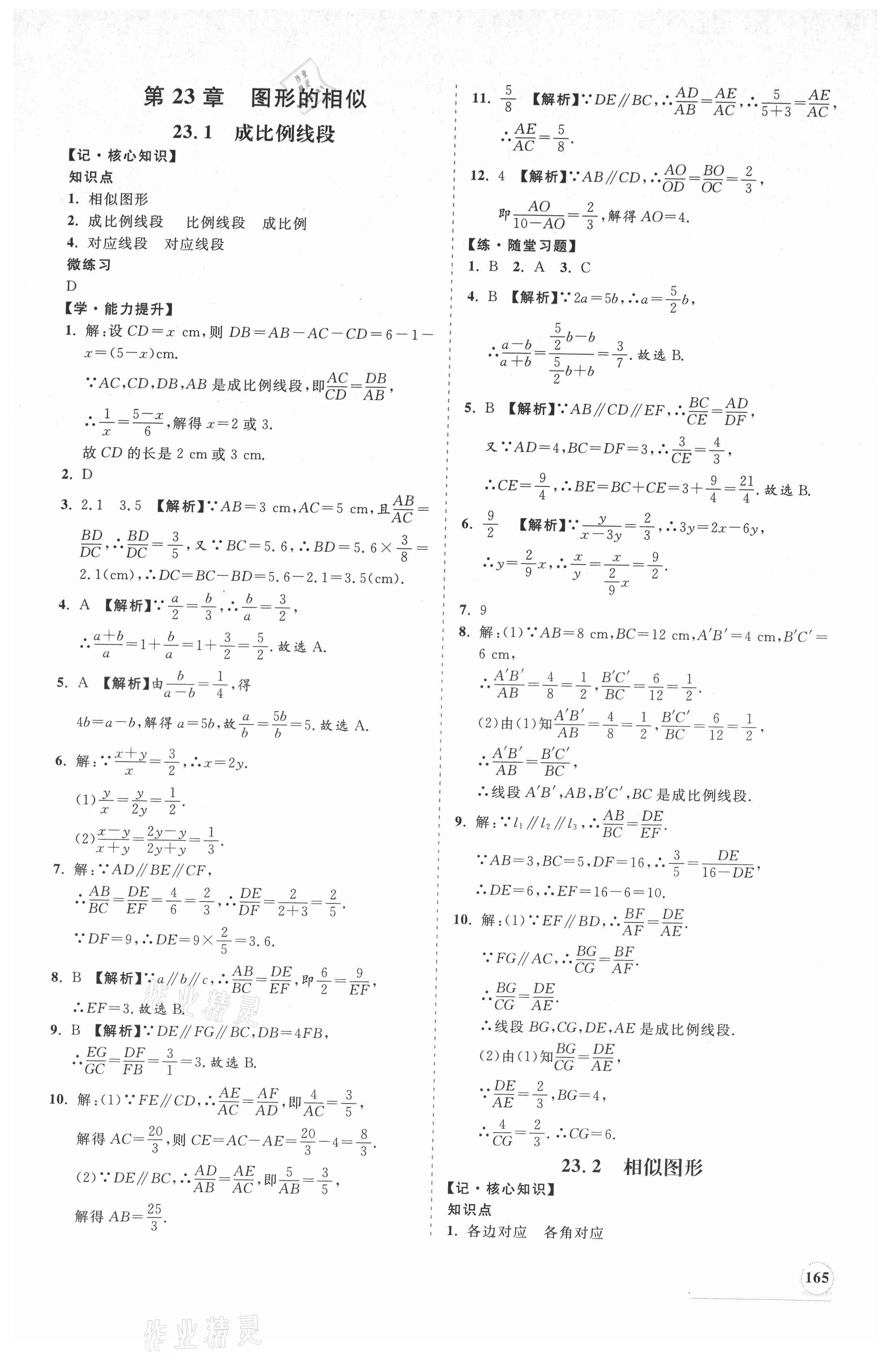 2021年新課程同步練習(xí)冊九年級數(shù)學(xué)上冊華師大版 第9頁