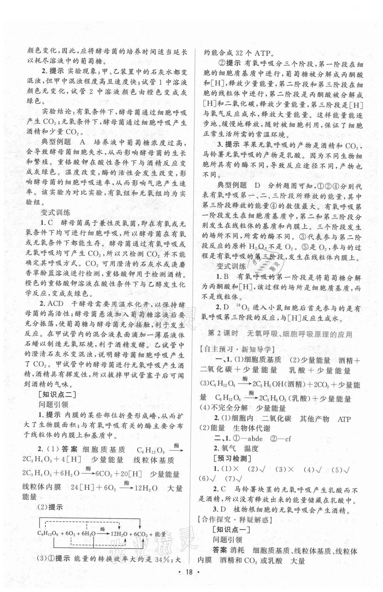 2021年高中同步測控優(yōu)化設(shè)計生物必修1分子與細(xì)胞增強(qiáng)版 參考答案第17頁