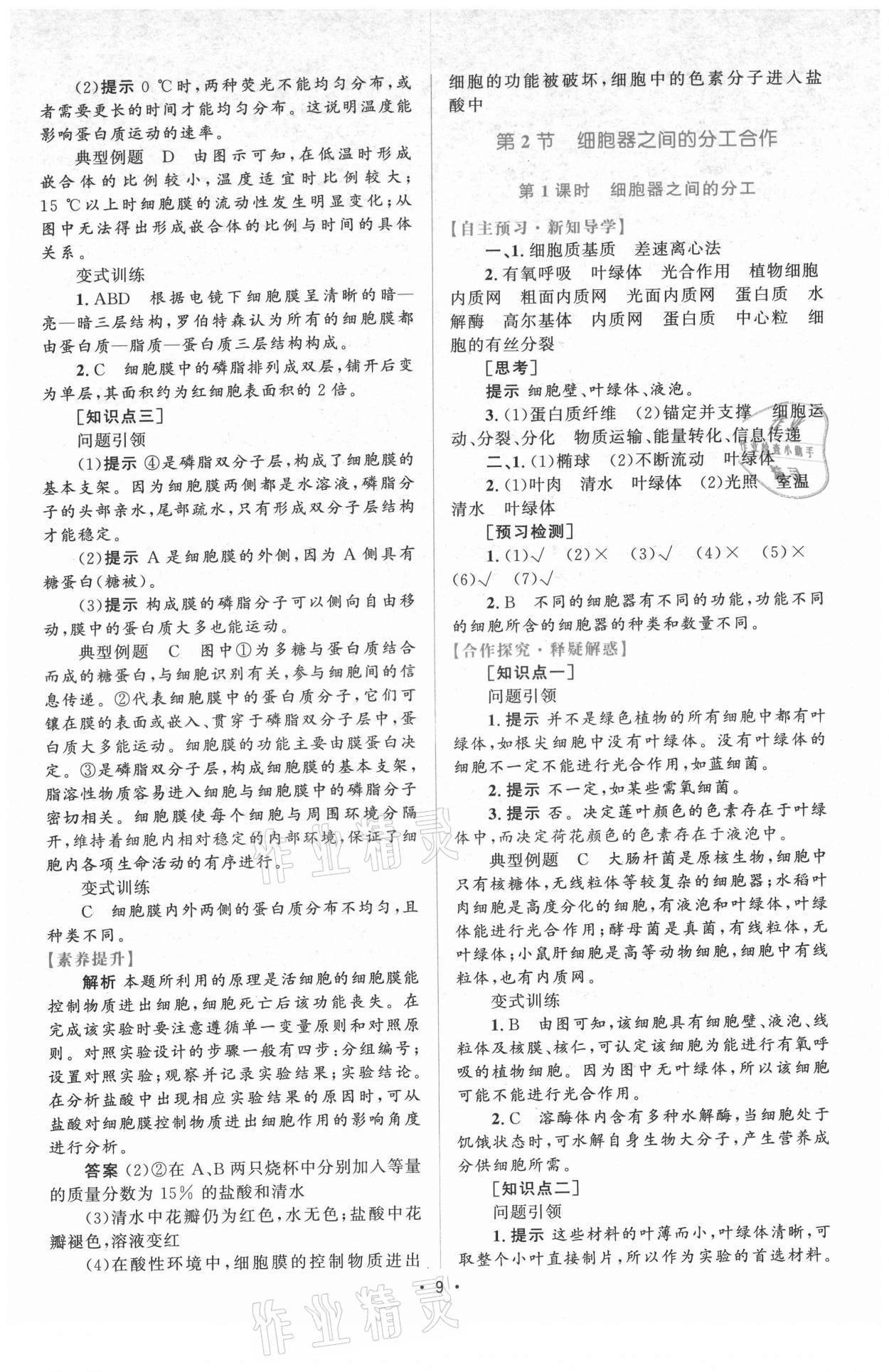 2021年高中同步測(cè)控優(yōu)化設(shè)計(jì)生物必修1分子與細(xì)胞增強(qiáng)版 參考答案第8頁