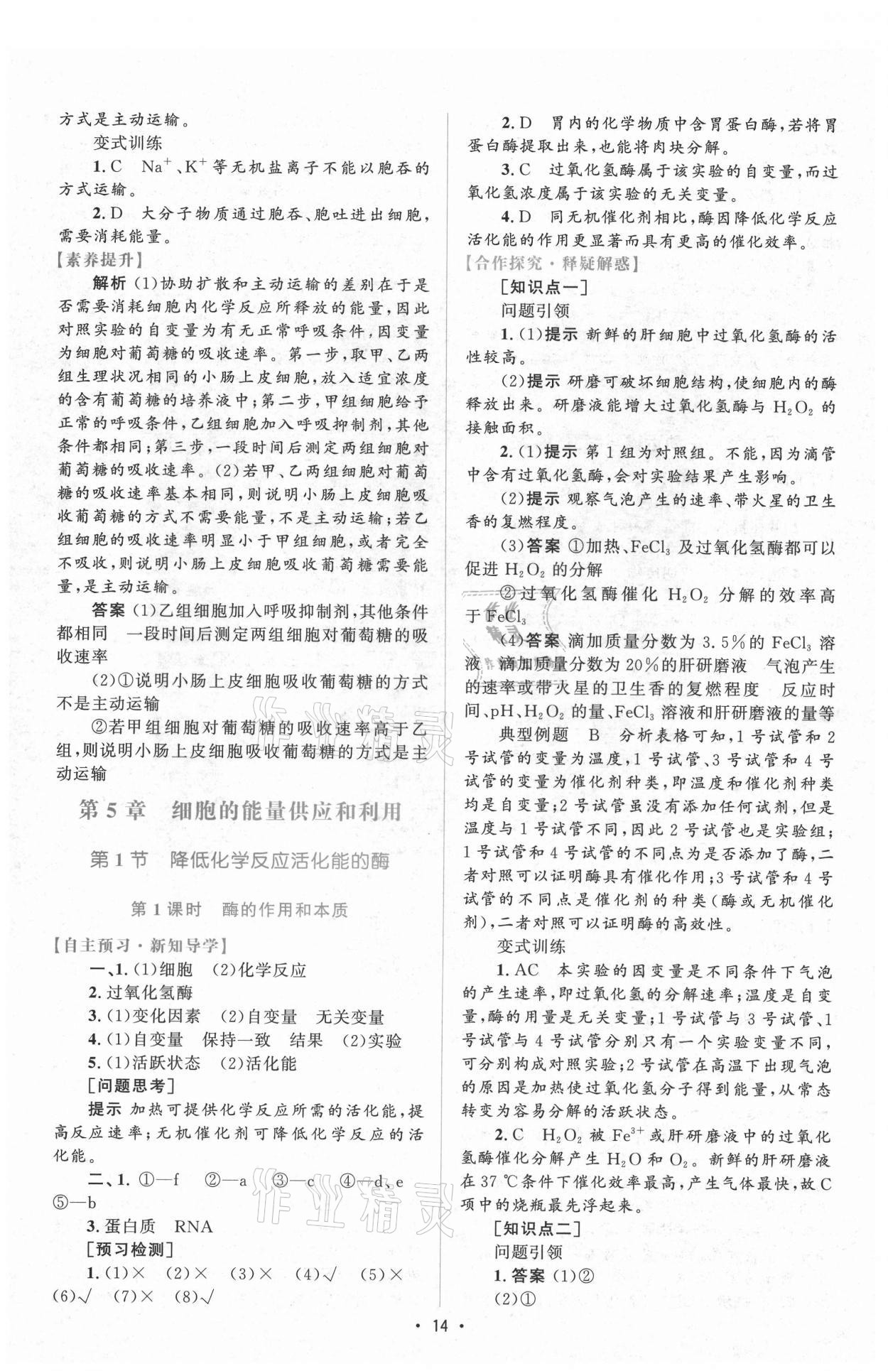 2021年高中同步測(cè)控優(yōu)化設(shè)計(jì)生物必修1分子與細(xì)胞增強(qiáng)版 參考答案第13頁(yè)