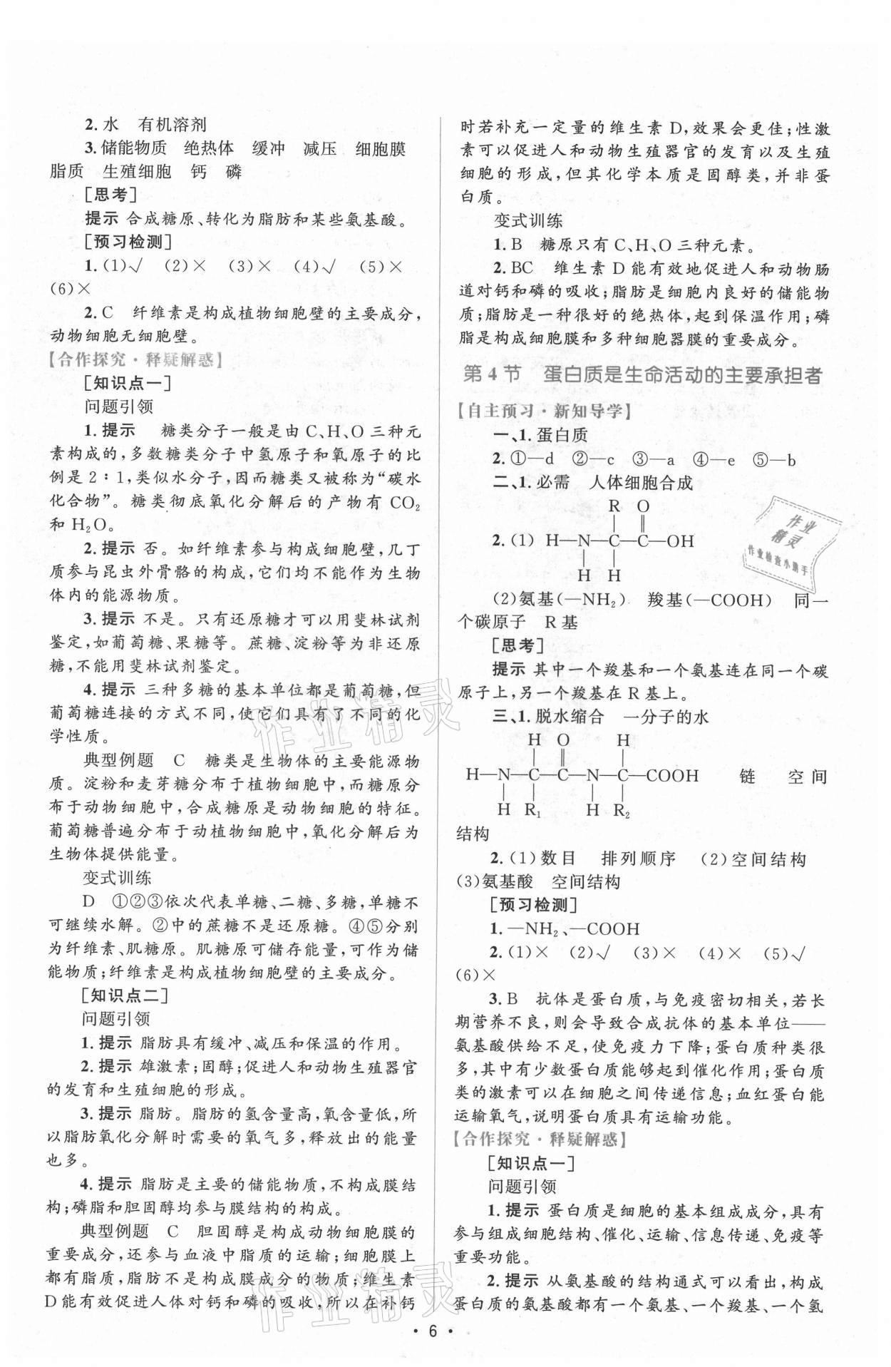 2021年高中同步測控優(yōu)化設計生物必修1分子與細胞增強版 參考答案第5頁