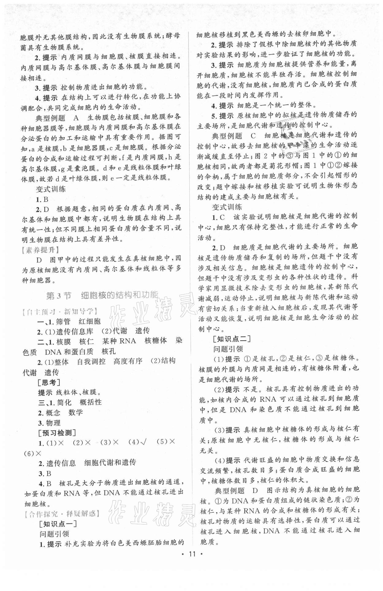 2021年高中同步測(cè)控優(yōu)化設(shè)計(jì)生物必修1分子與細(xì)胞增強(qiáng)版 參考答案第10頁(yè)