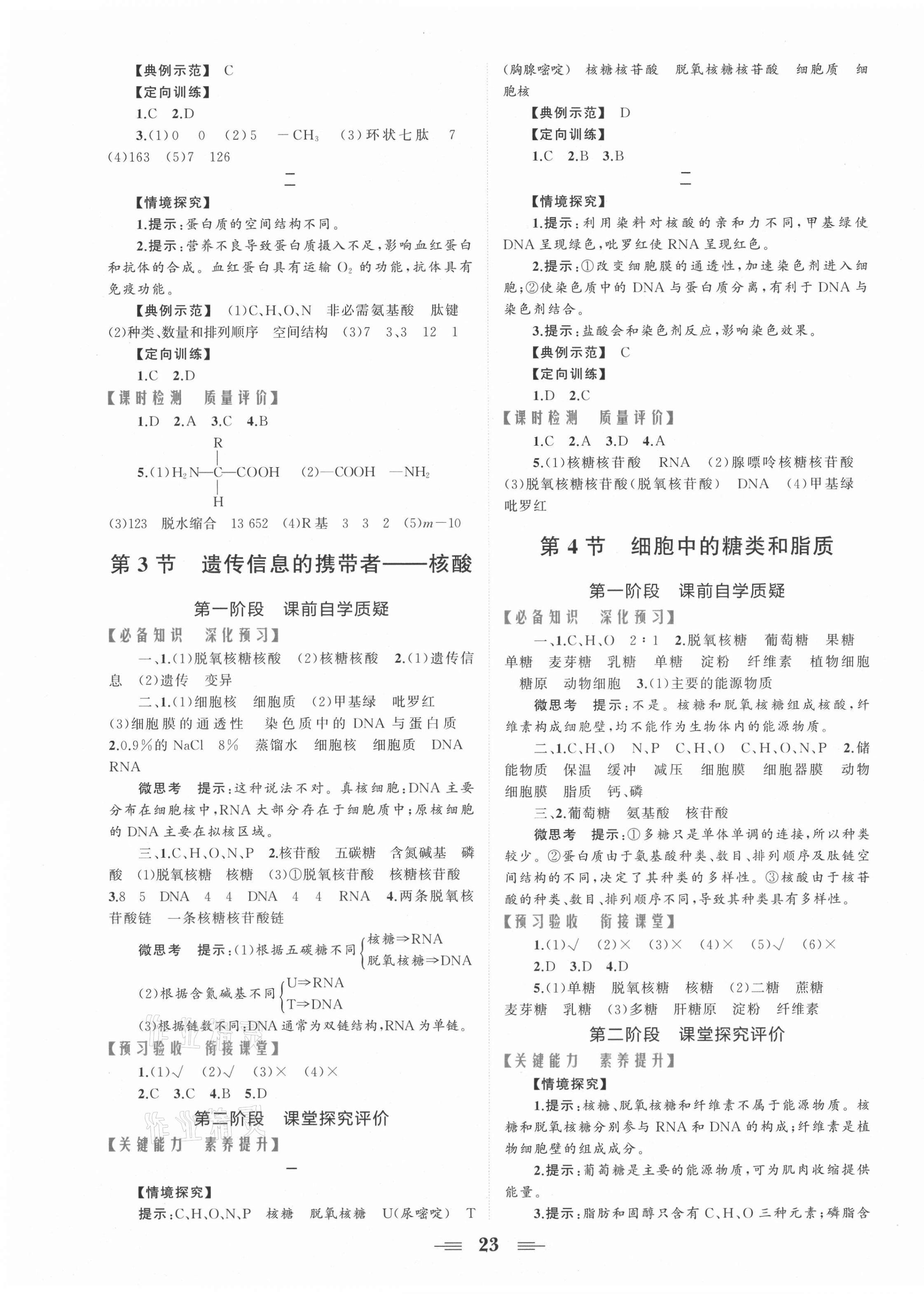 2021年點(diǎn)金訓(xùn)練精講巧練高中生物必修1人教版 第3頁(yè)