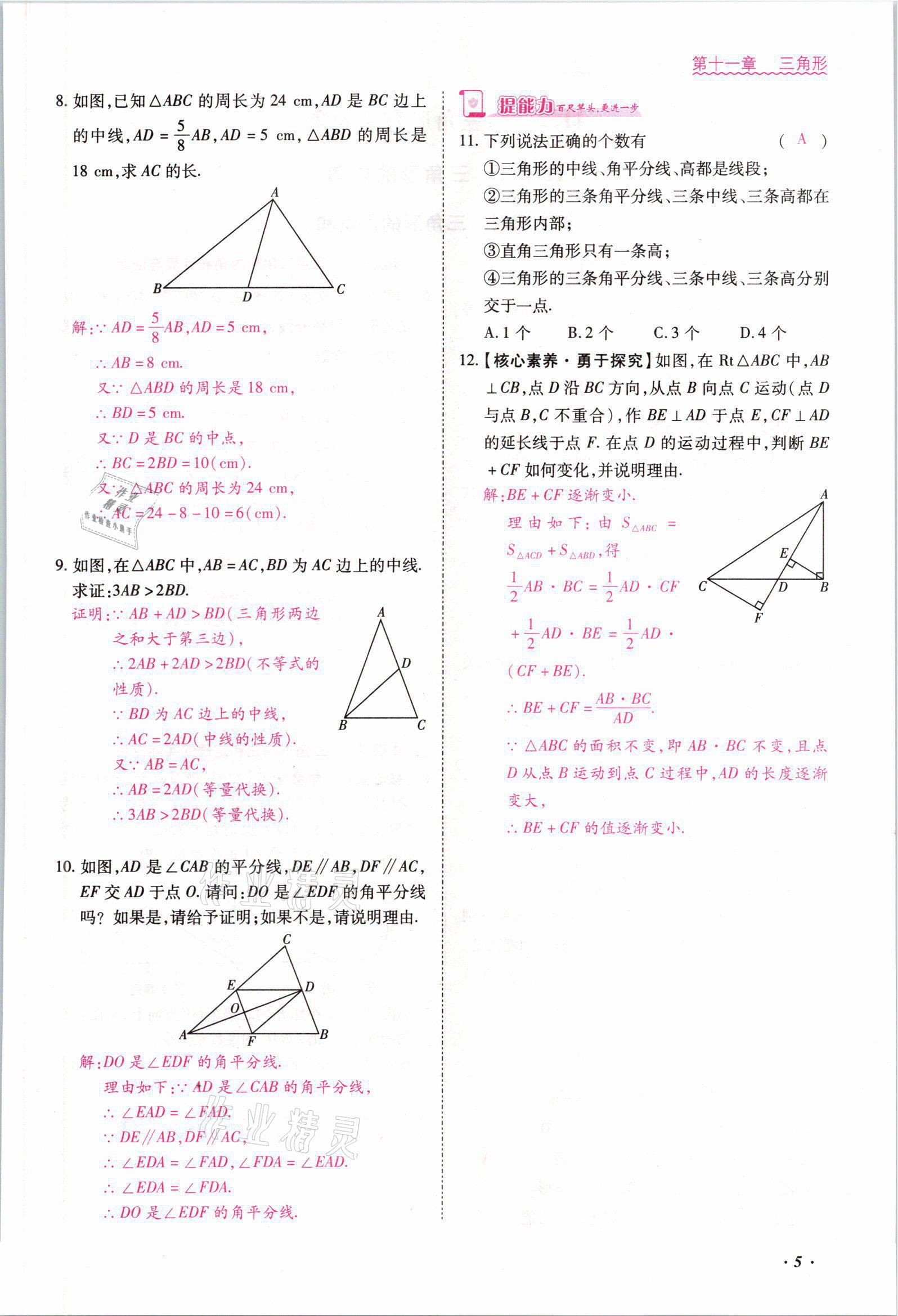 2021年本土攻略八年级数学上册人教版 参考答案第7页