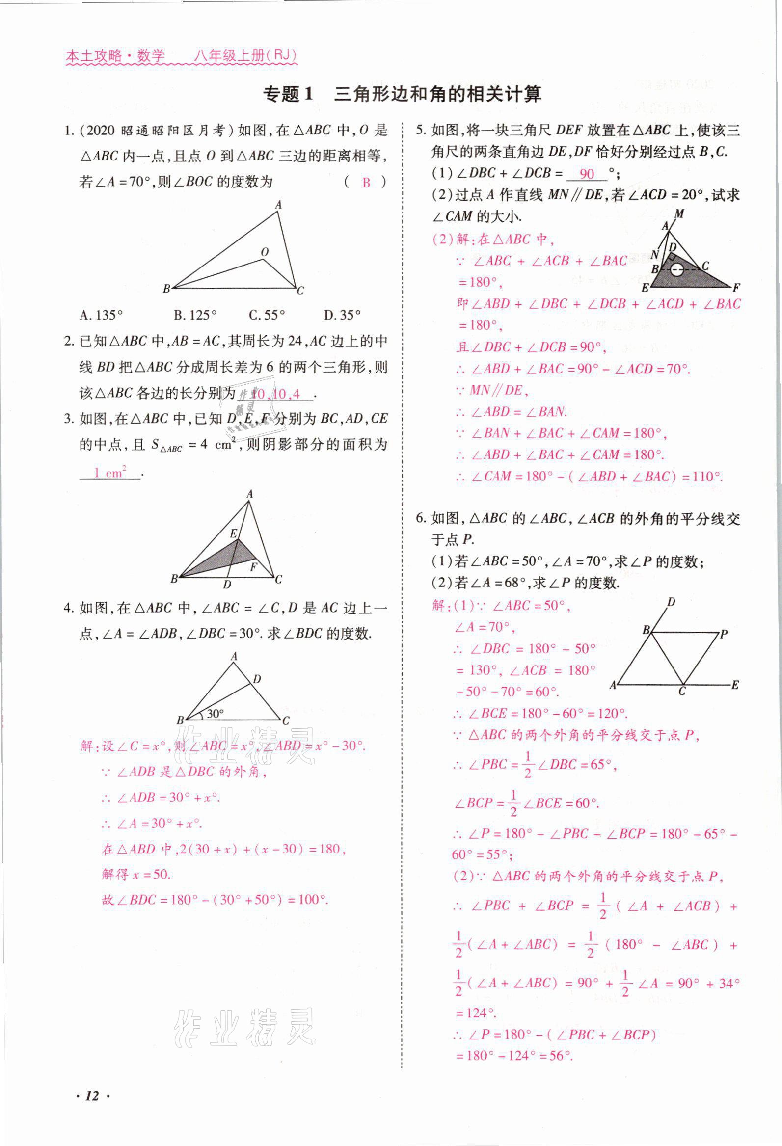 2021年本土攻略八年级数学上册人教版 参考答案第21页