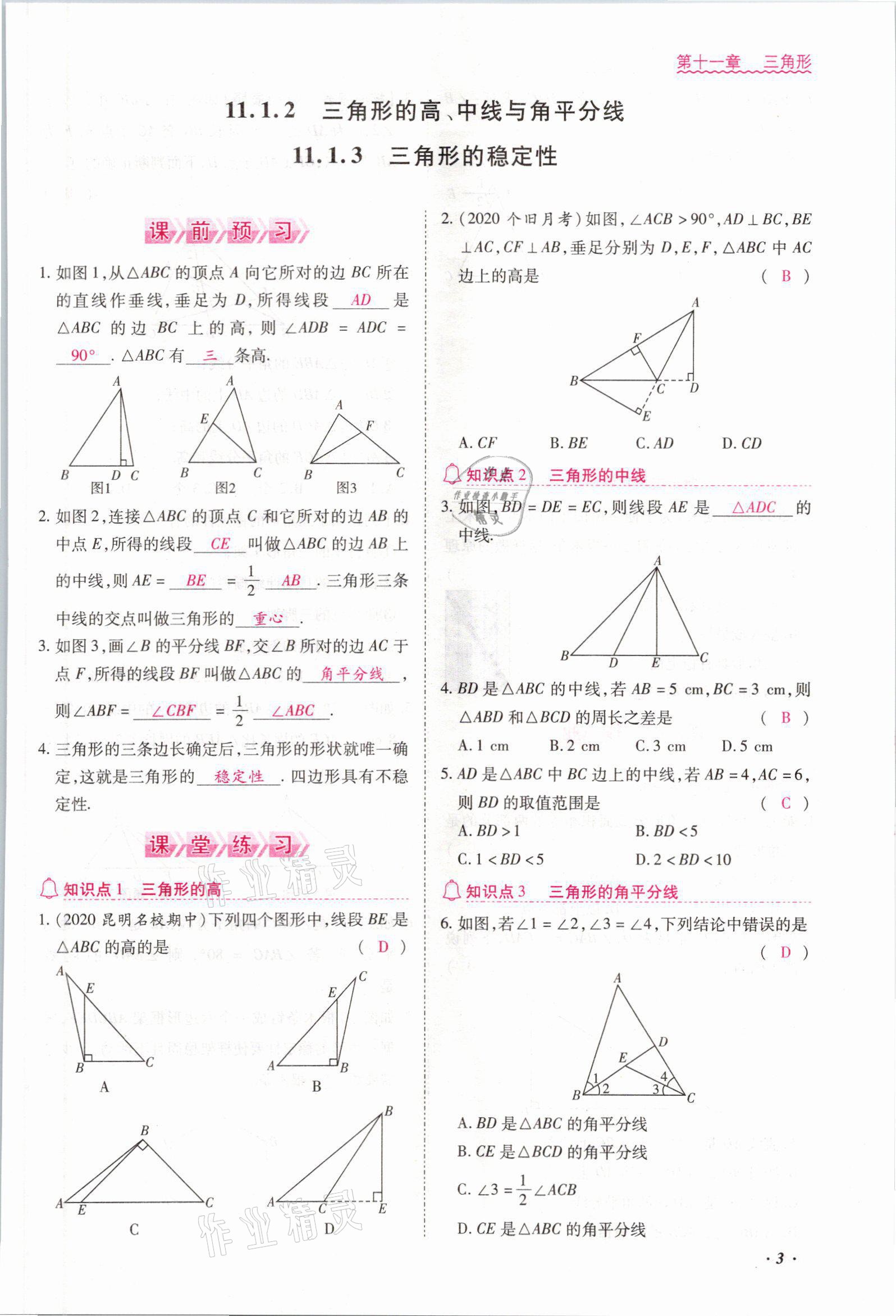 2021年本土攻略八年级数学上册人教版 参考答案第3页