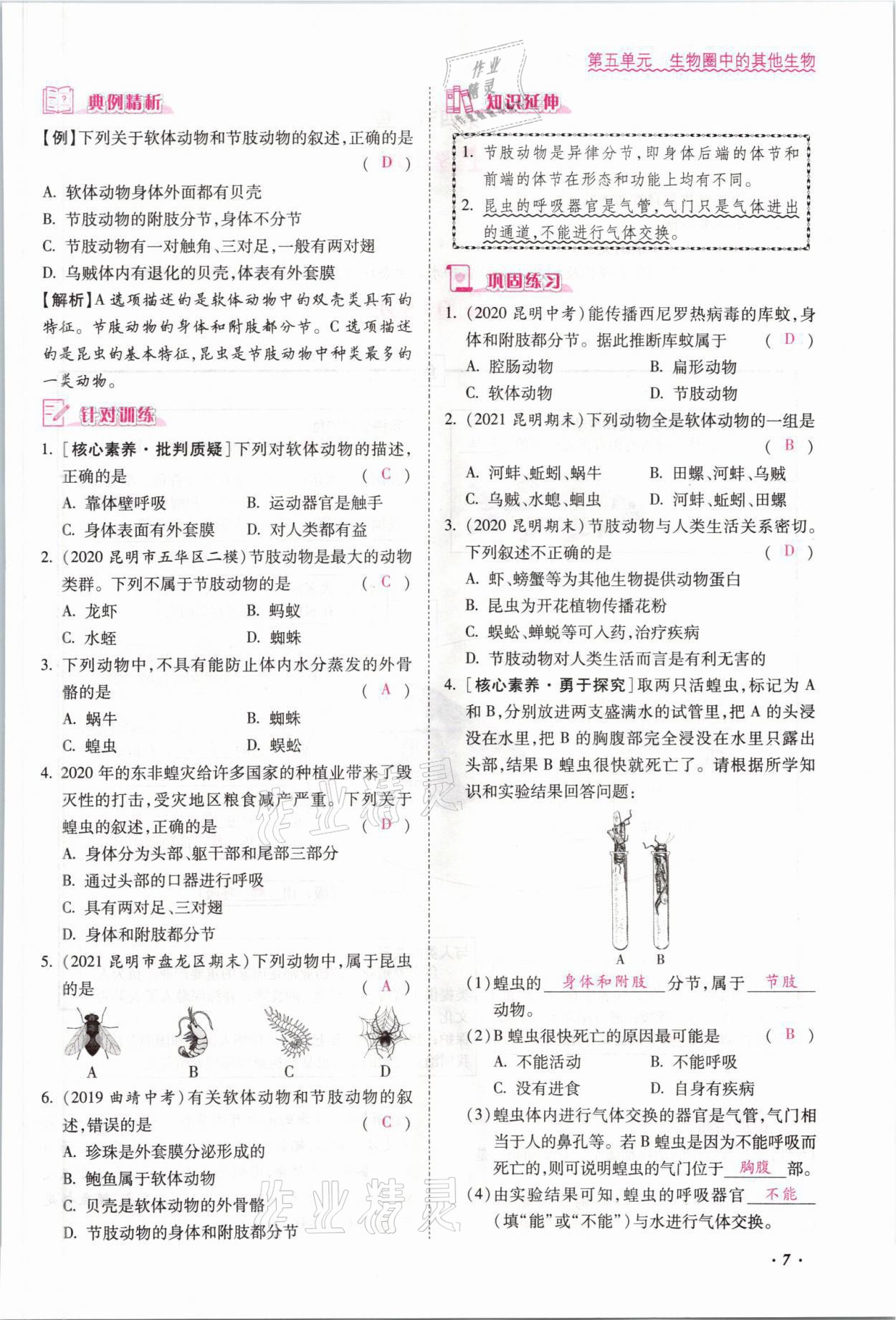 2021年本土攻略八年级生物全一册人教版 参考答案第11页