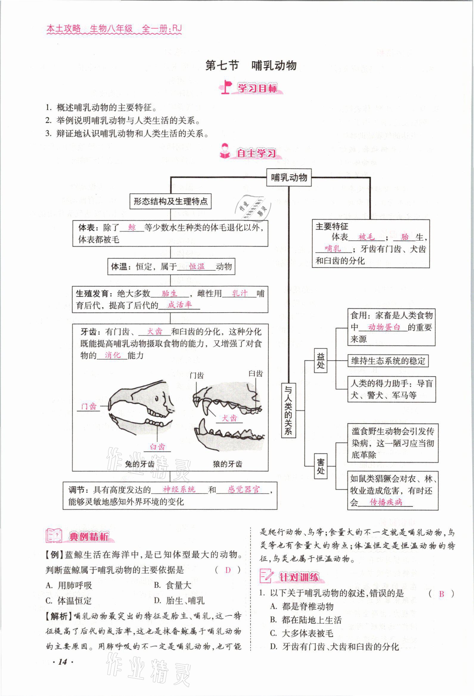 2021年本土攻略八年级生物全一册人教版 参考答案第25页