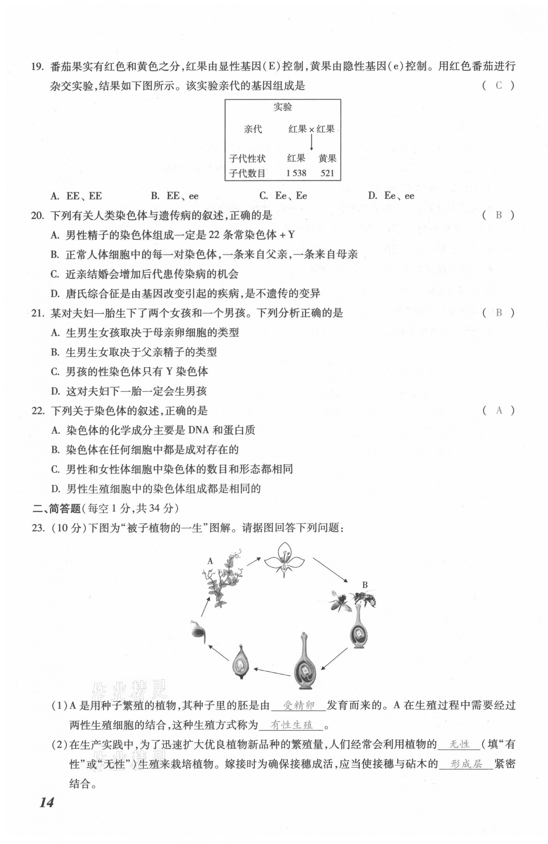 2021年本土攻略八年级生物全一册人教版 第27页