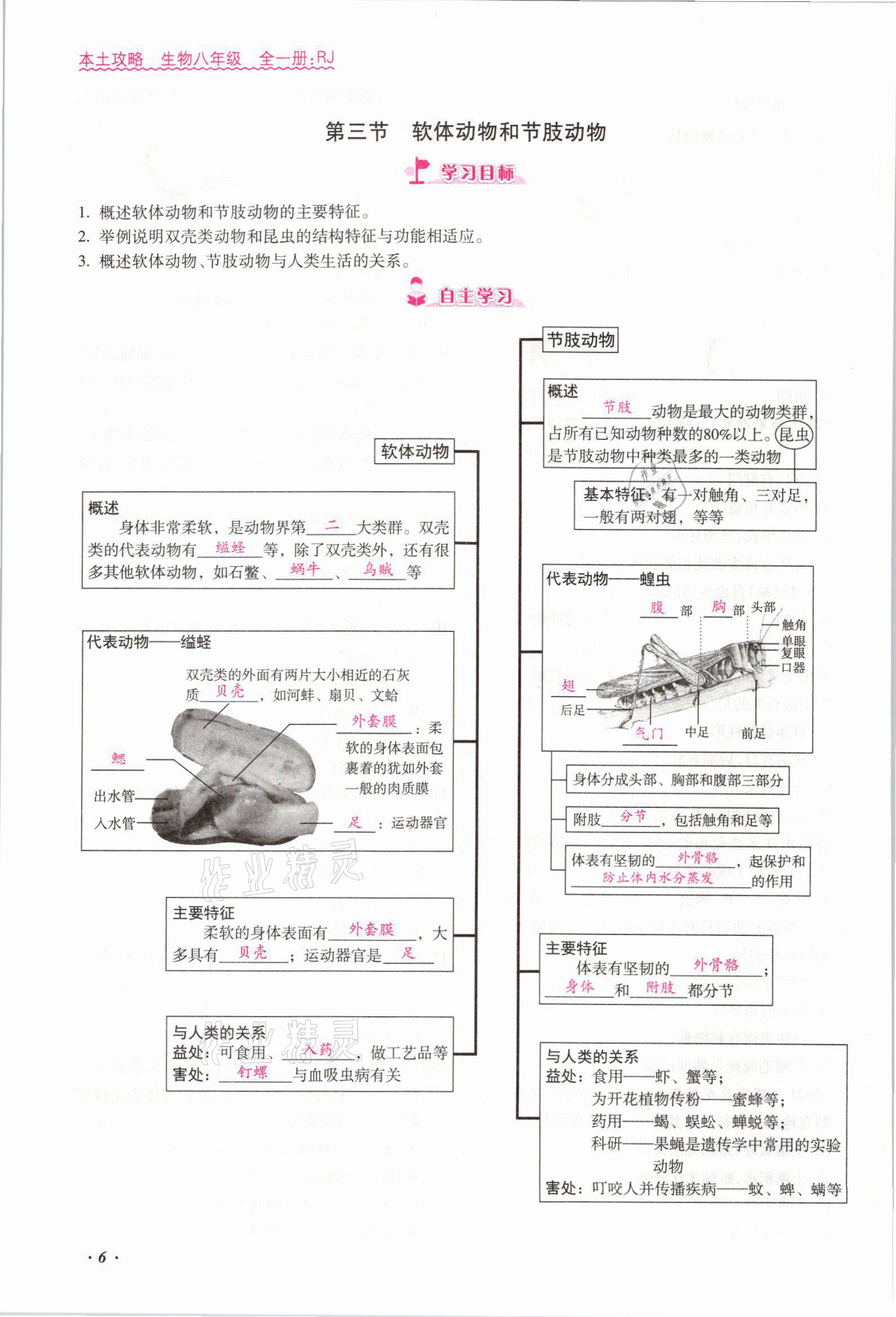 2021年本土攻略八年级生物全一册人教版 参考答案第9页