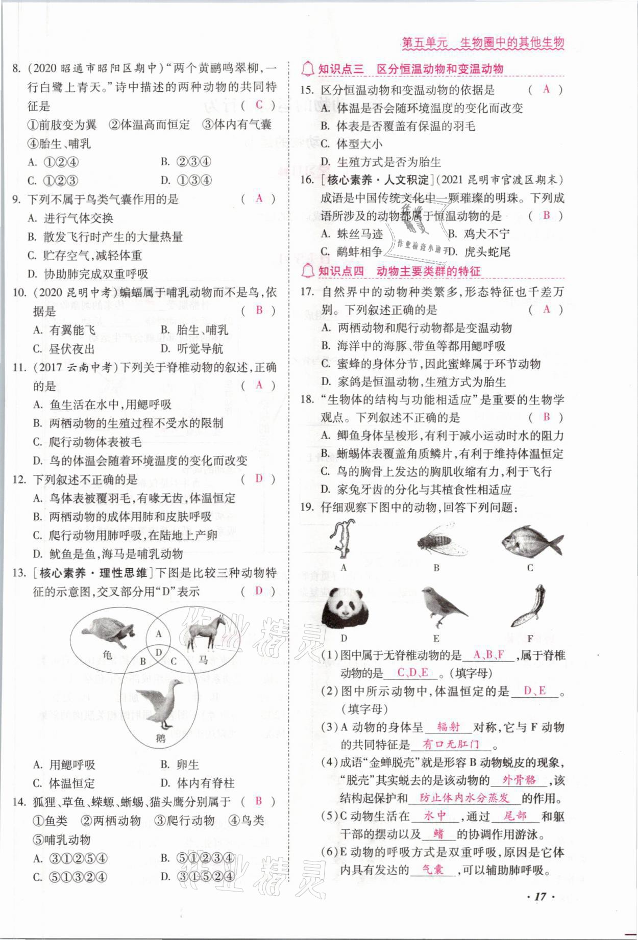 2021年本土攻略八年级生物全一册人教版 参考答案第31页