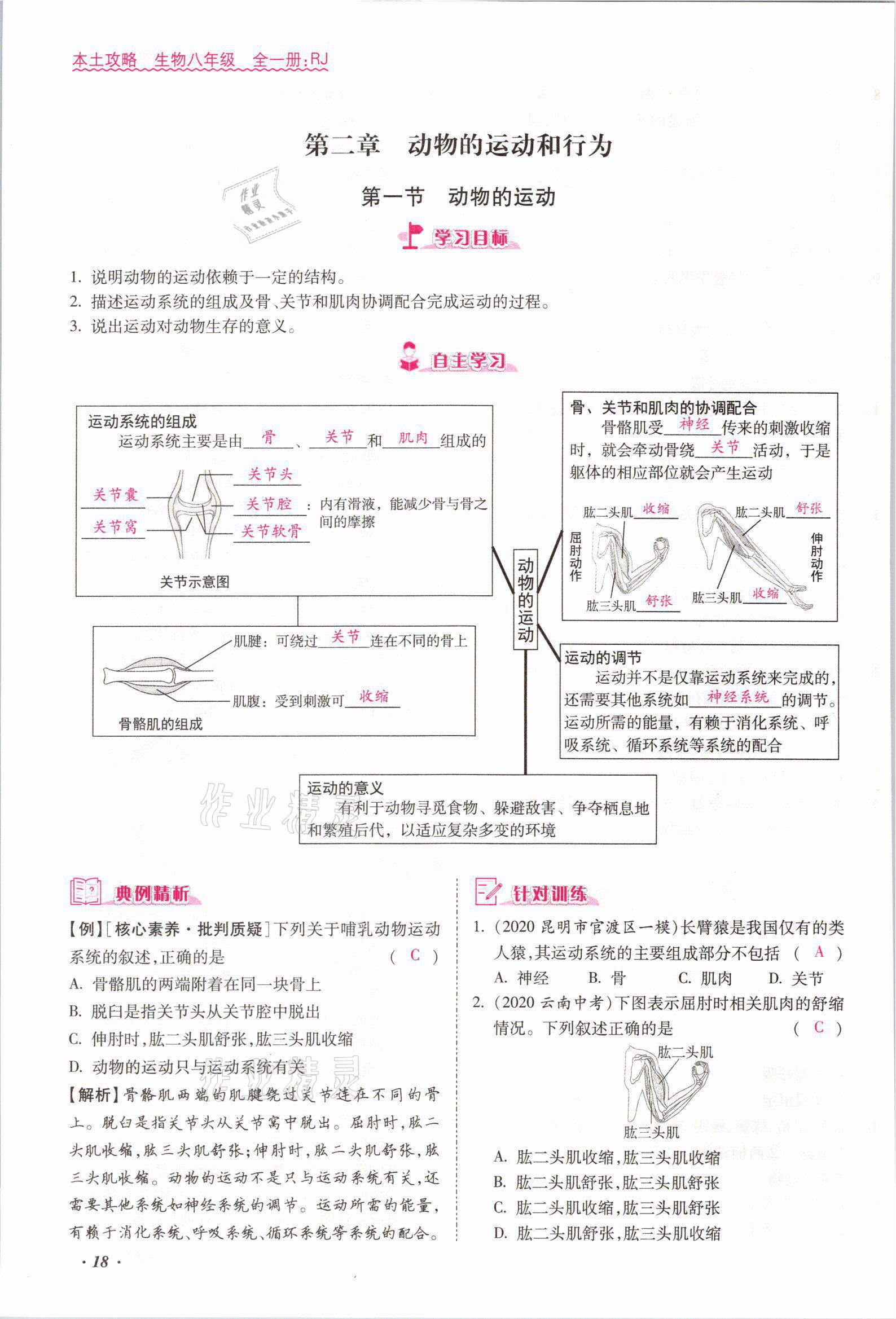 2021年本土攻略八年级生物全一册人教版 参考答案第33页