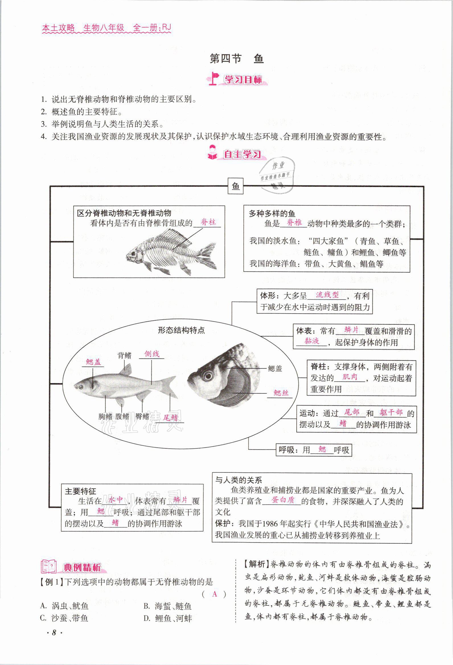 2021年本土攻略八年级生物全一册人教版 参考答案第13页