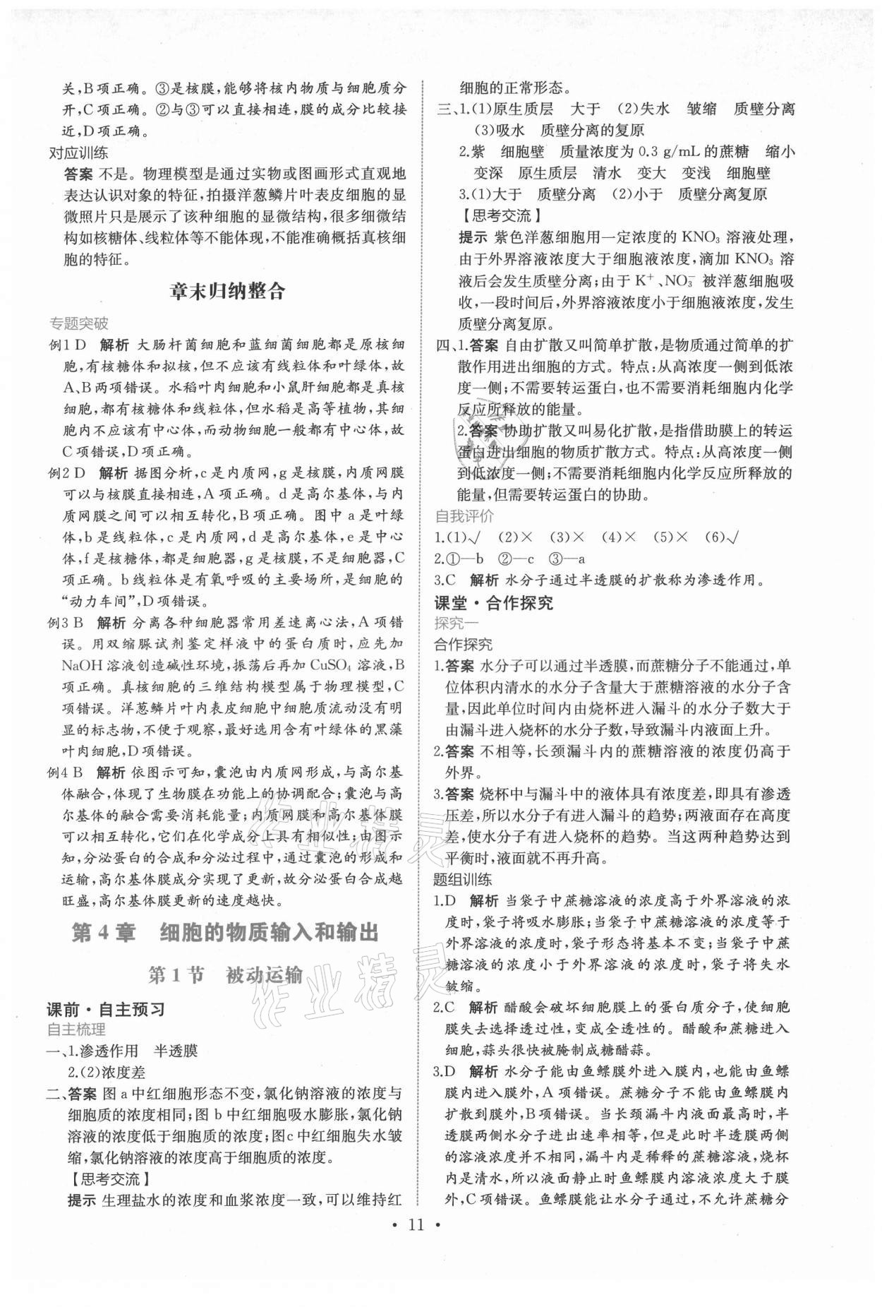 2021年能力培養(yǎng)與測試生物學必修1人教版 參考答案第10頁