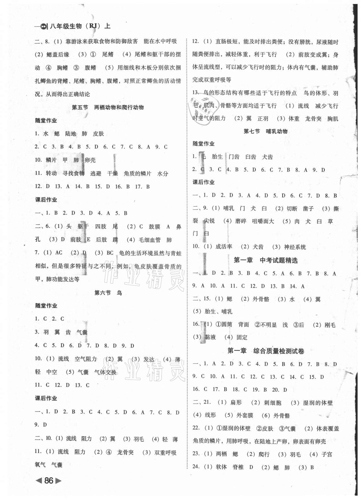 2021年胜券在握打好基础金牌作业本八年级生物上册人教版 参考答案第2页