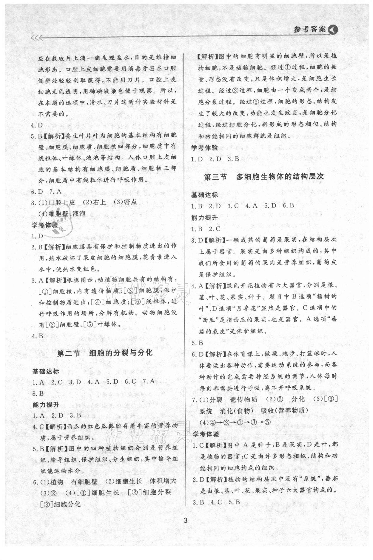 2021年学习与检测七年级生物上册济南版济南出版社 第3页