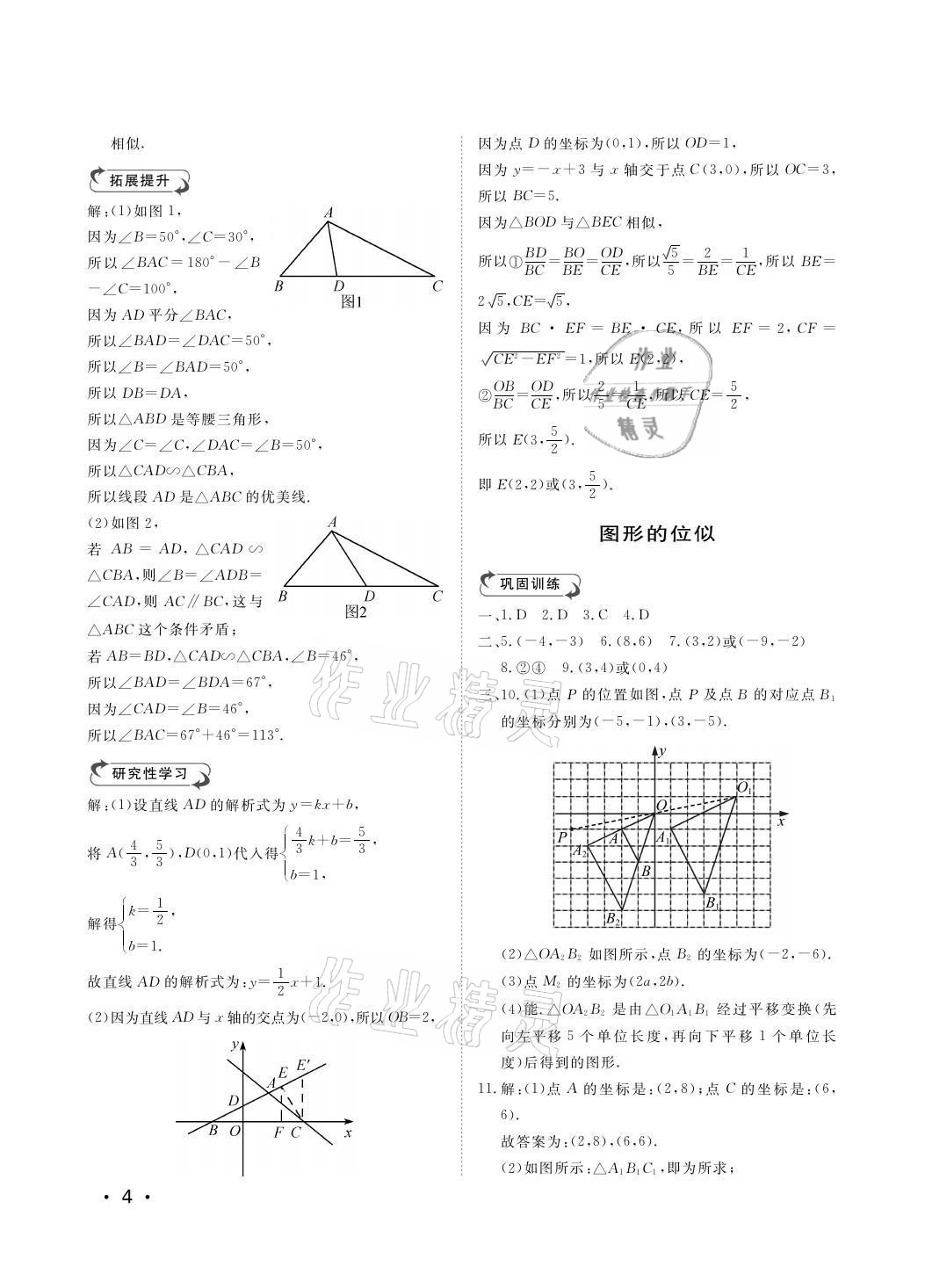 2021年行知天下九年级数学上册青岛版 参考答案第4页