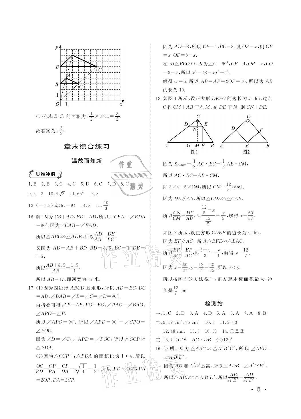 2021年行知天下九年級(jí)數(shù)學(xué)上冊(cè)青島版 參考答案第5頁(yè)