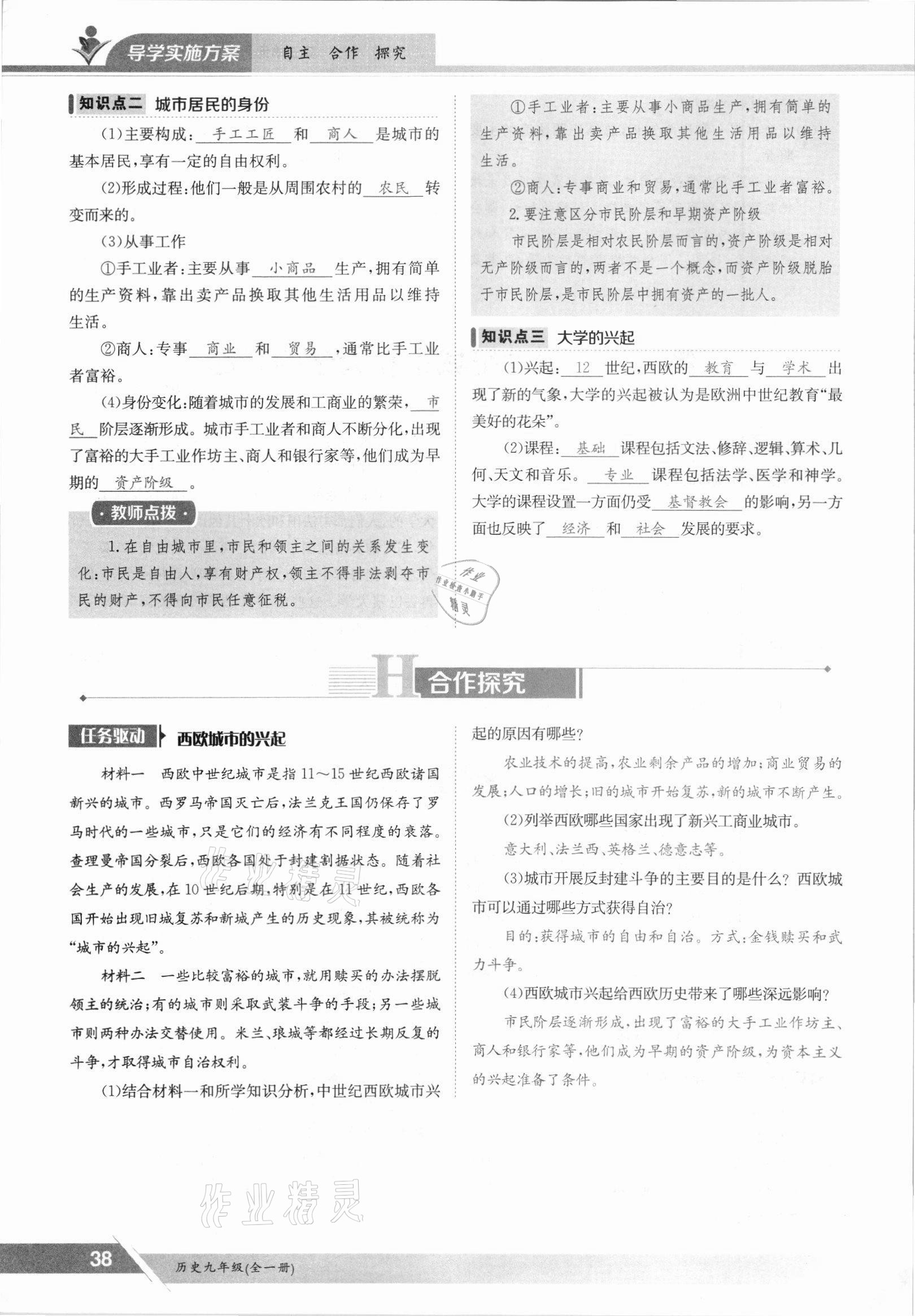 2021年金太陽導學測評九年級歷史全一冊人教版 參考答案第38頁