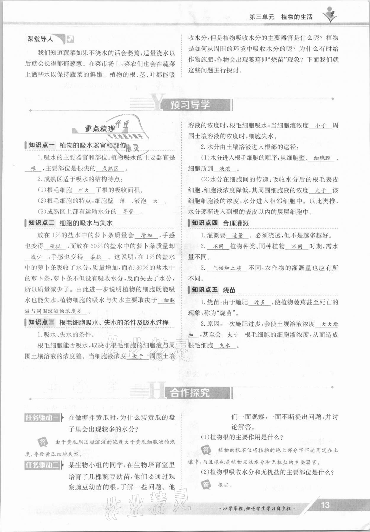 2021年金太陽導(dǎo)學(xué)測評八年級生物上冊冀少版 參考答案第13頁