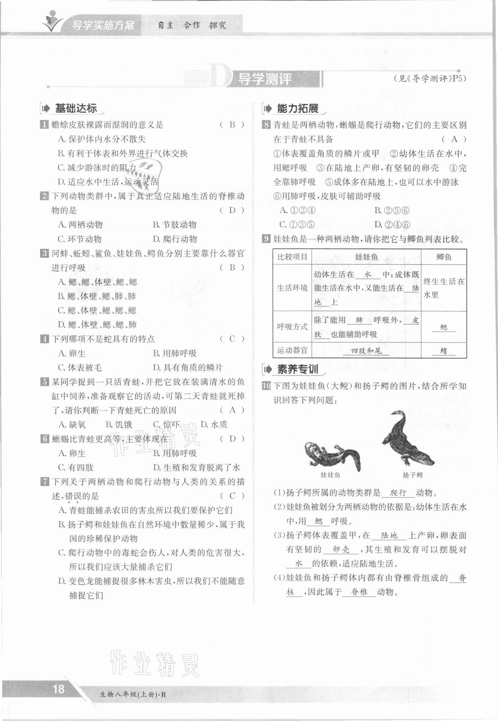 2021年金太阳导学测评八年级生物上册人教版 参考答案第18页