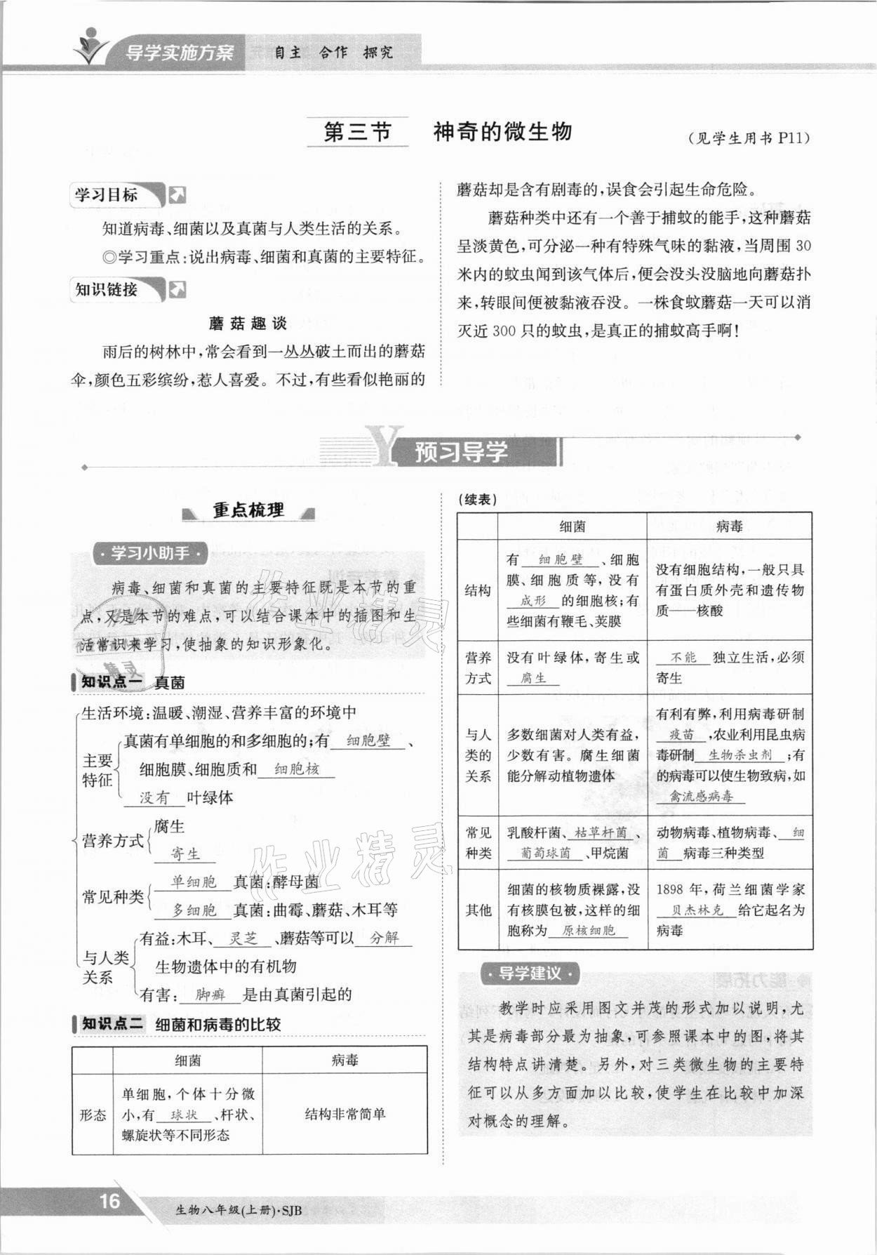 2021年金太陽導(dǎo)學(xué)測評八年級生物上冊蘇教版 參考答案第16頁