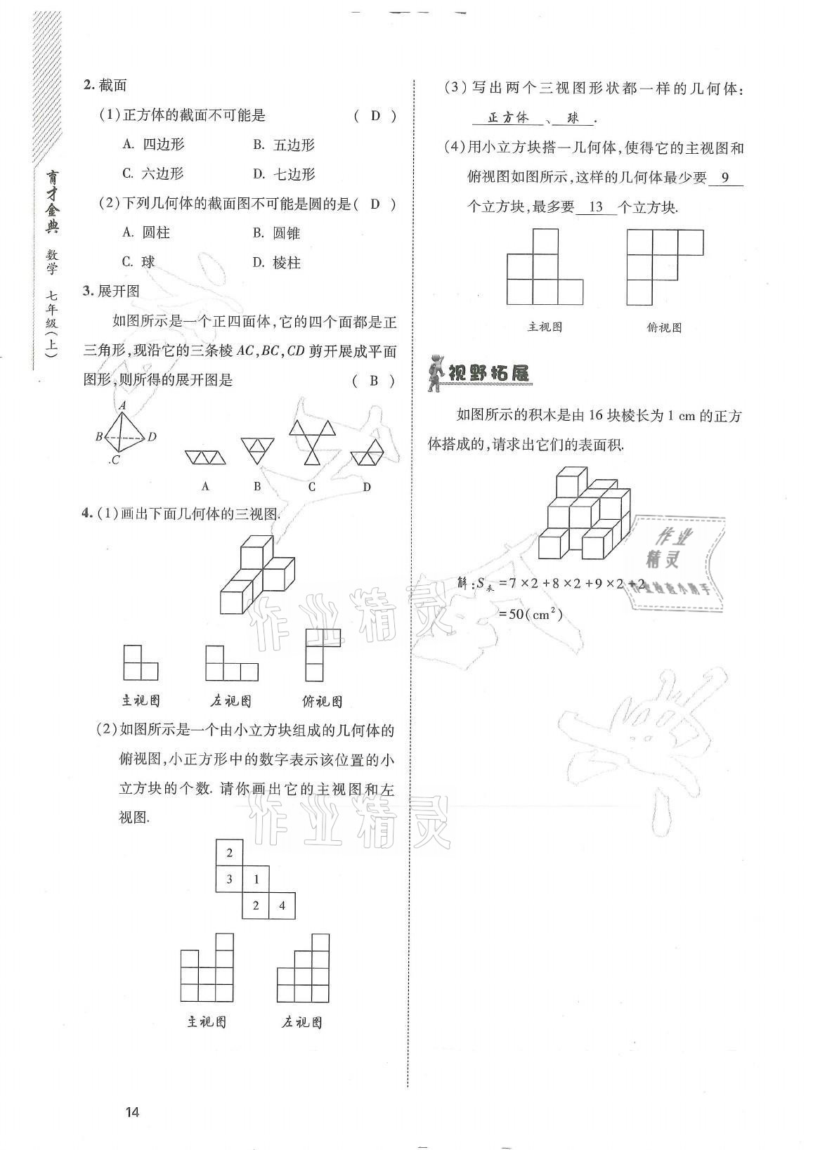 2021年育才金典七年级数学上册北师大版 参考答案第14页