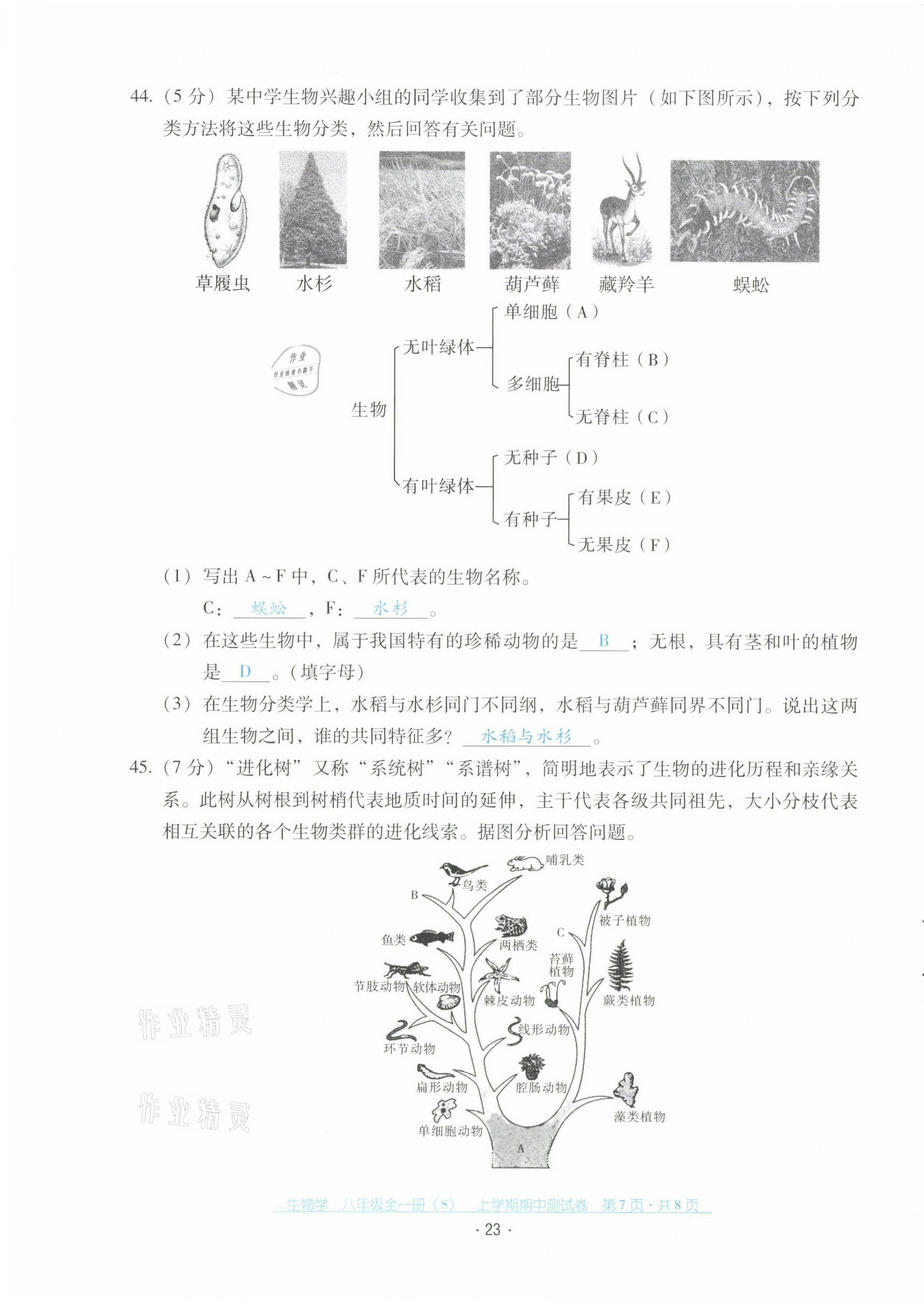 2021年云南省標(biāo)準(zhǔn)教輔優(yōu)佳學(xué)案配套測試卷八年級生物全一冊蘇教版 第23頁