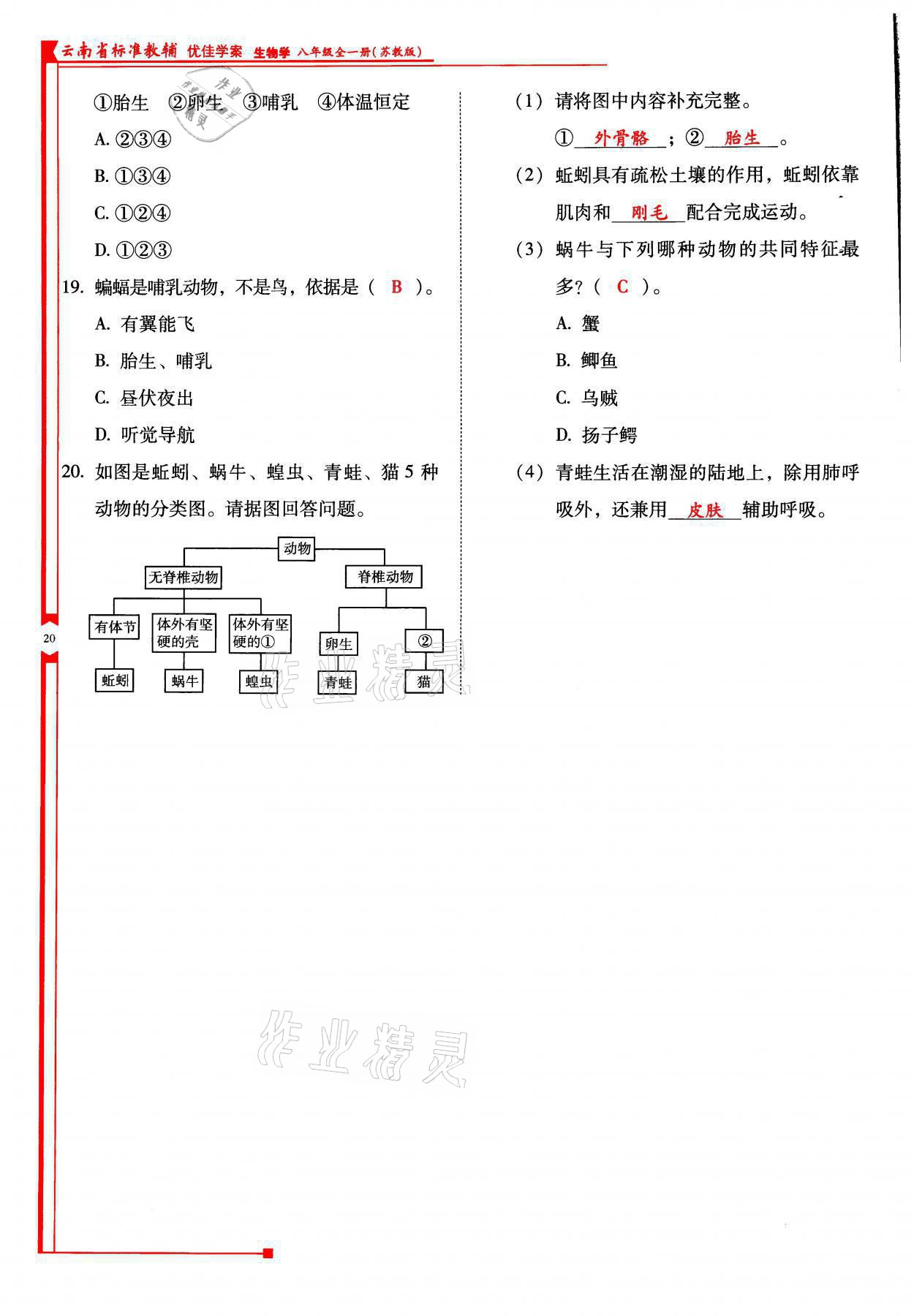 2021年云南省標準教輔優(yōu)佳學案八年級生物全一冊蘇教版 參考答案第20頁