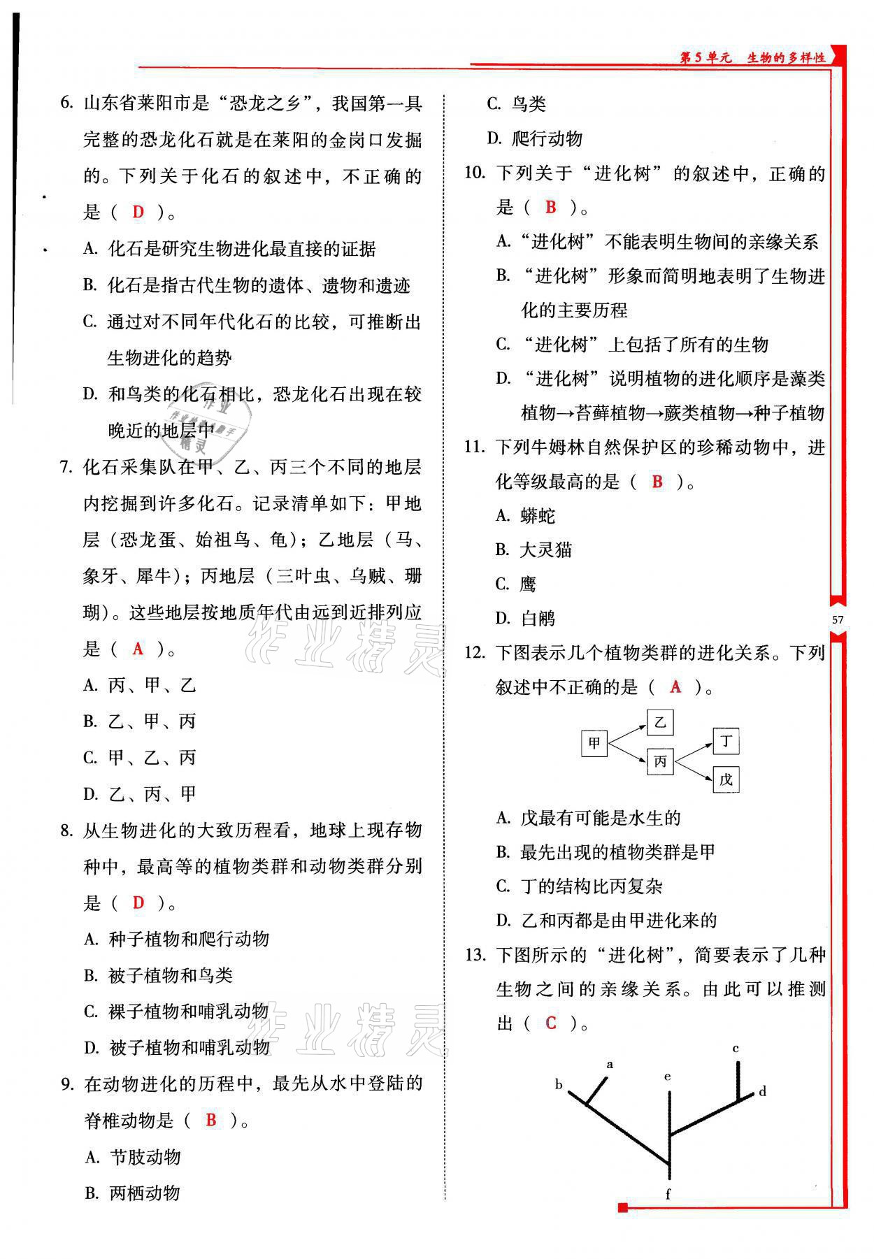 2021年云南省標準教輔優(yōu)佳學案八年級生物全一冊蘇教版 參考答案第57頁