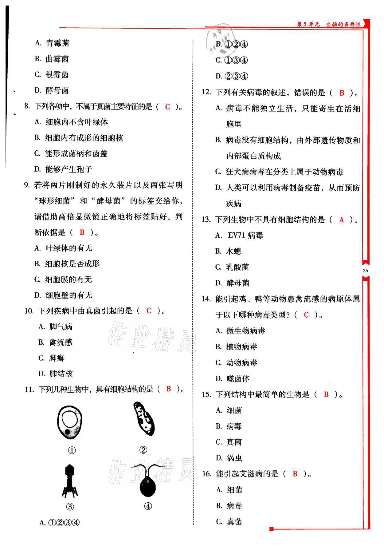 2021年云南省標準教輔優(yōu)佳學(xué)案八年級生物全一冊蘇教版 參考答案第25頁