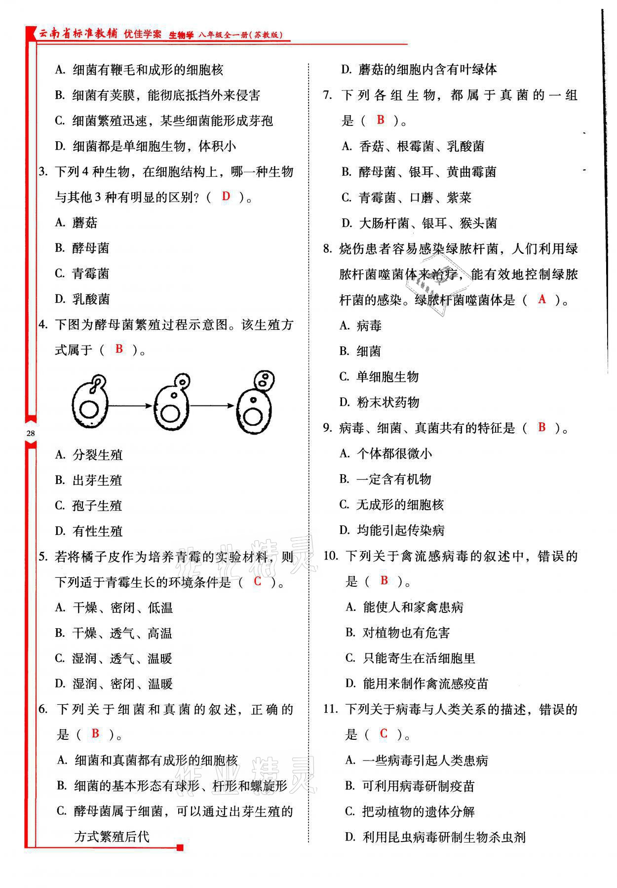 2021年云南省標(biāo)準(zhǔn)教輔優(yōu)佳學(xué)案八年級(jí)生物全一冊(cè)蘇教版 參考答案第28頁