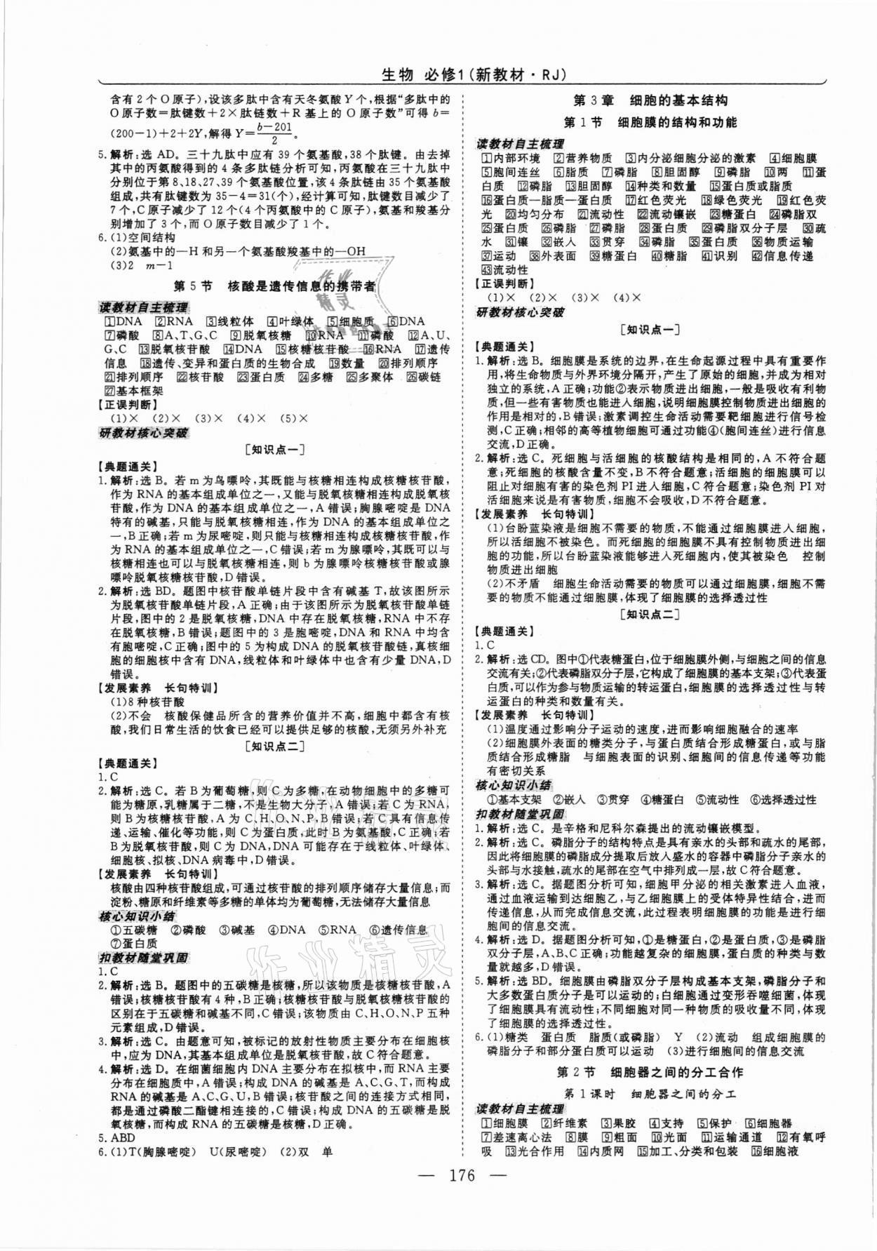 2021年高中同步創(chuàng)新課堂優(yōu)化方案高中生物必修1人教版 第4頁