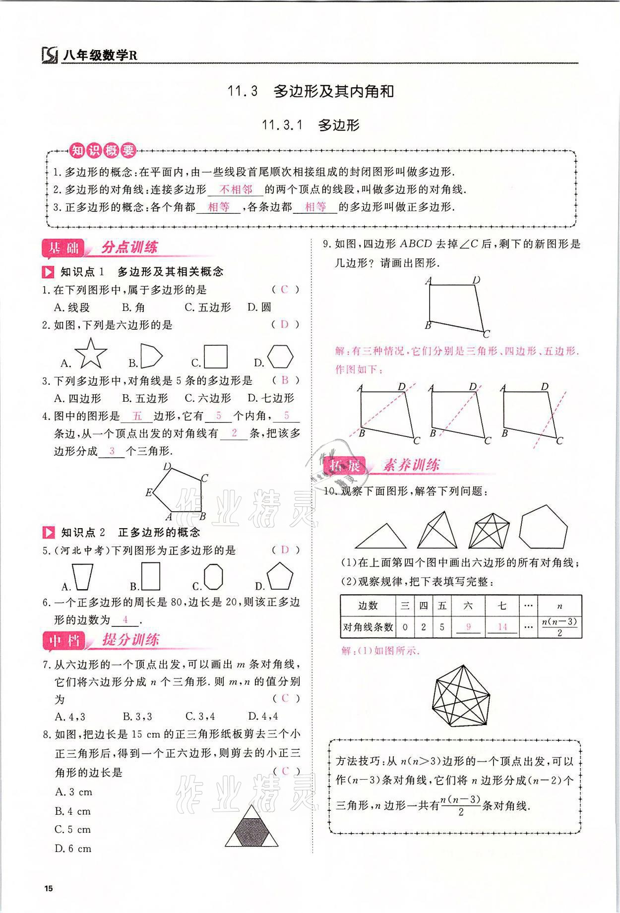 2021年我的作業(yè)八年級數(shù)學上冊人教版 參考答案第15頁