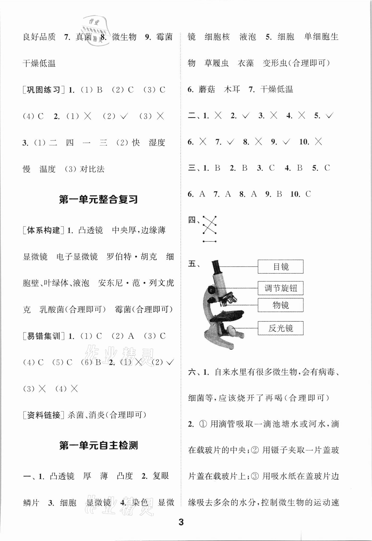 2021年通城学典默写能手六年级科学上册教科版 第3页