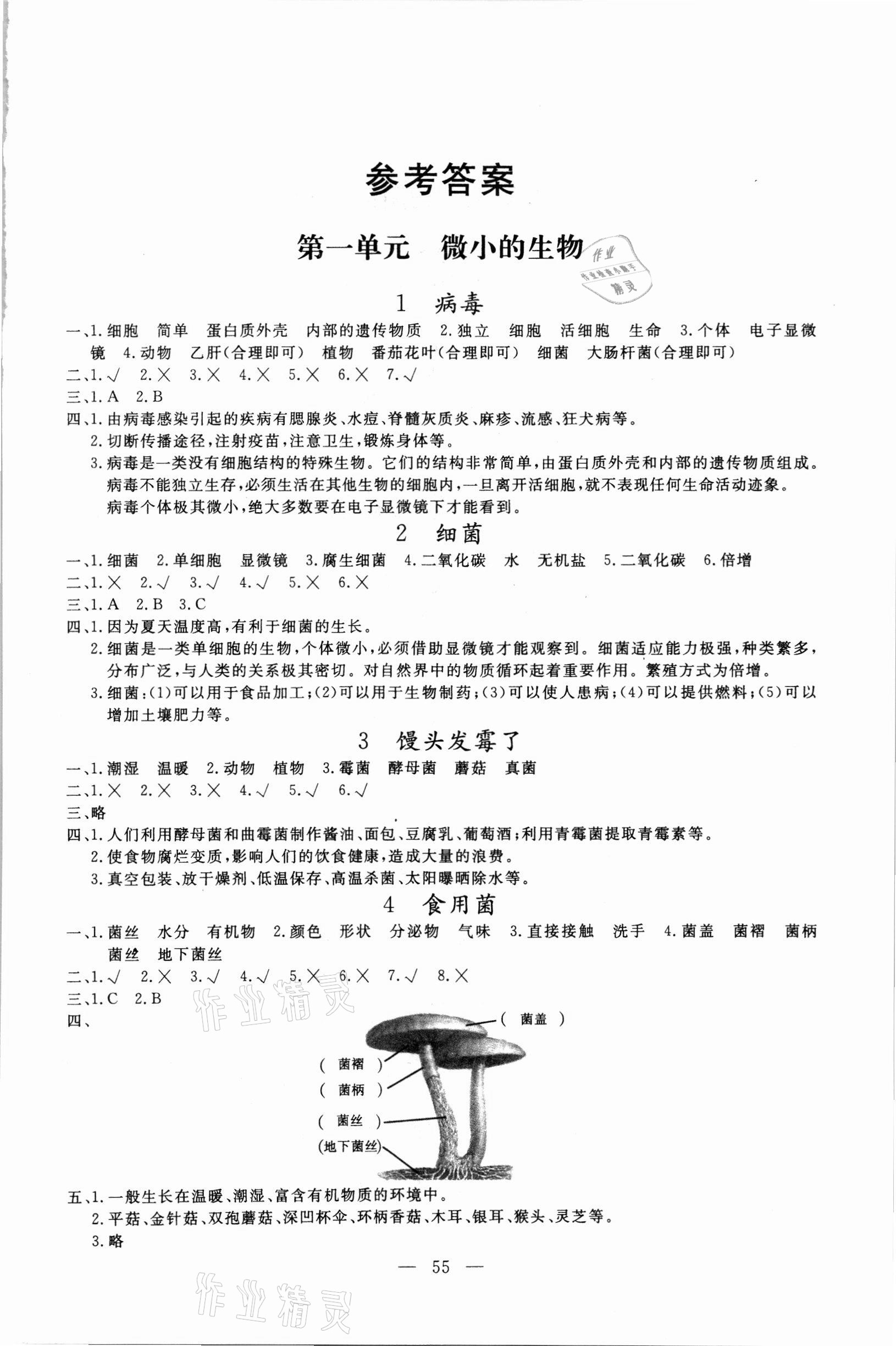 2021年配套同步練習(xí)冊(cè)六年級(jí)科學(xué)上冊(cè)青島版 第1頁(yè)